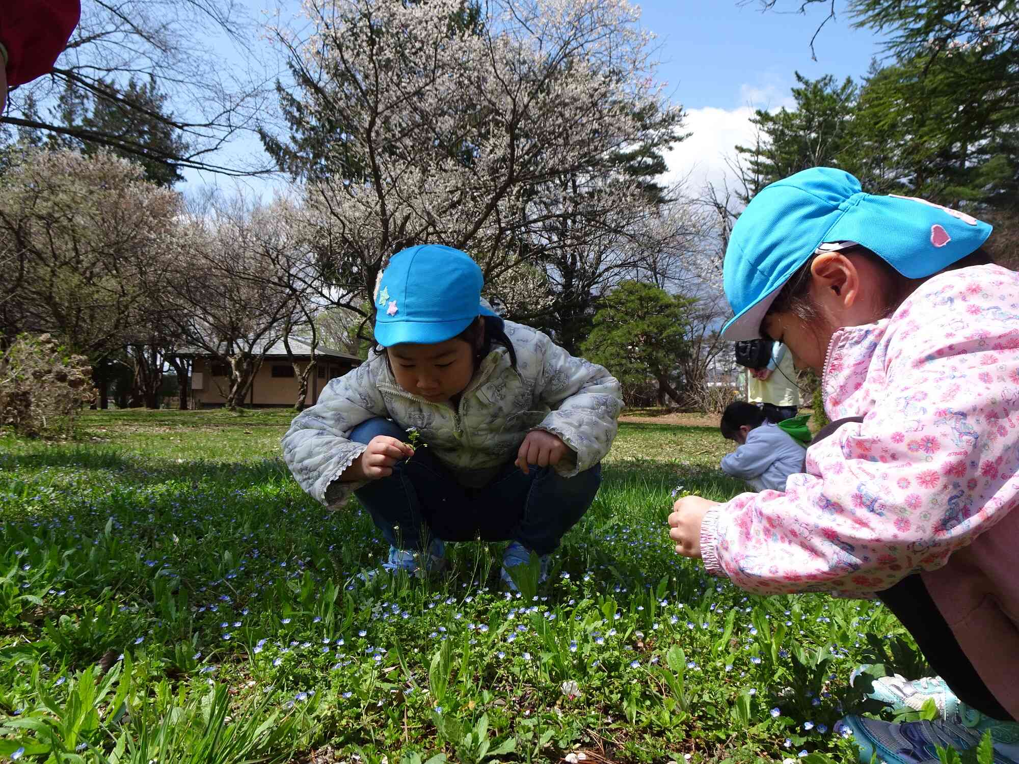 きれいなお花も咲いていました！