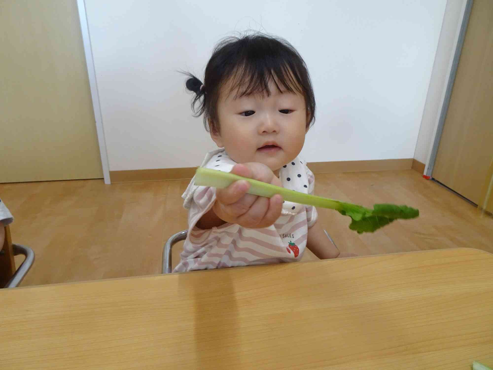 みてみて！