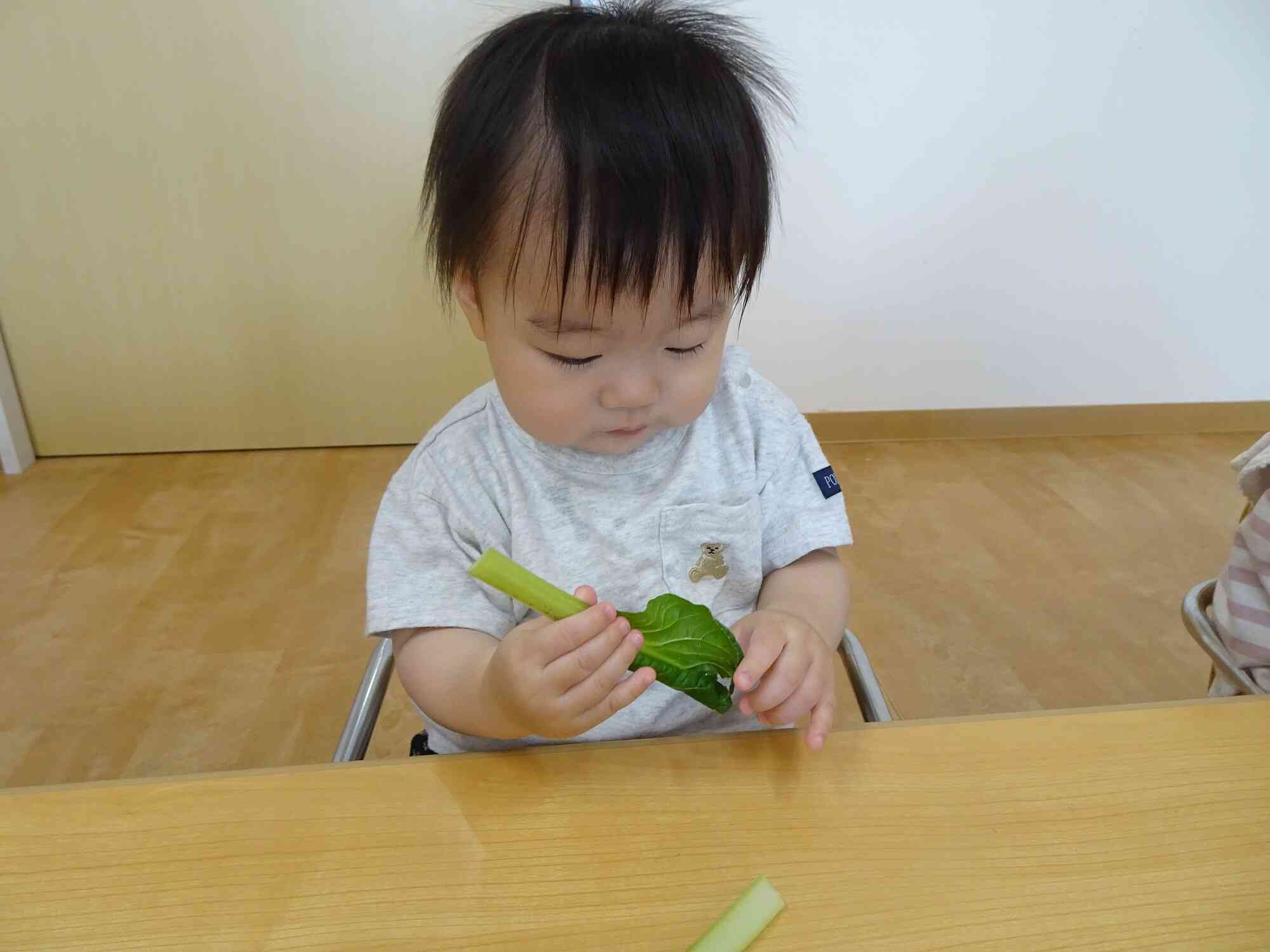おやさいちぎり