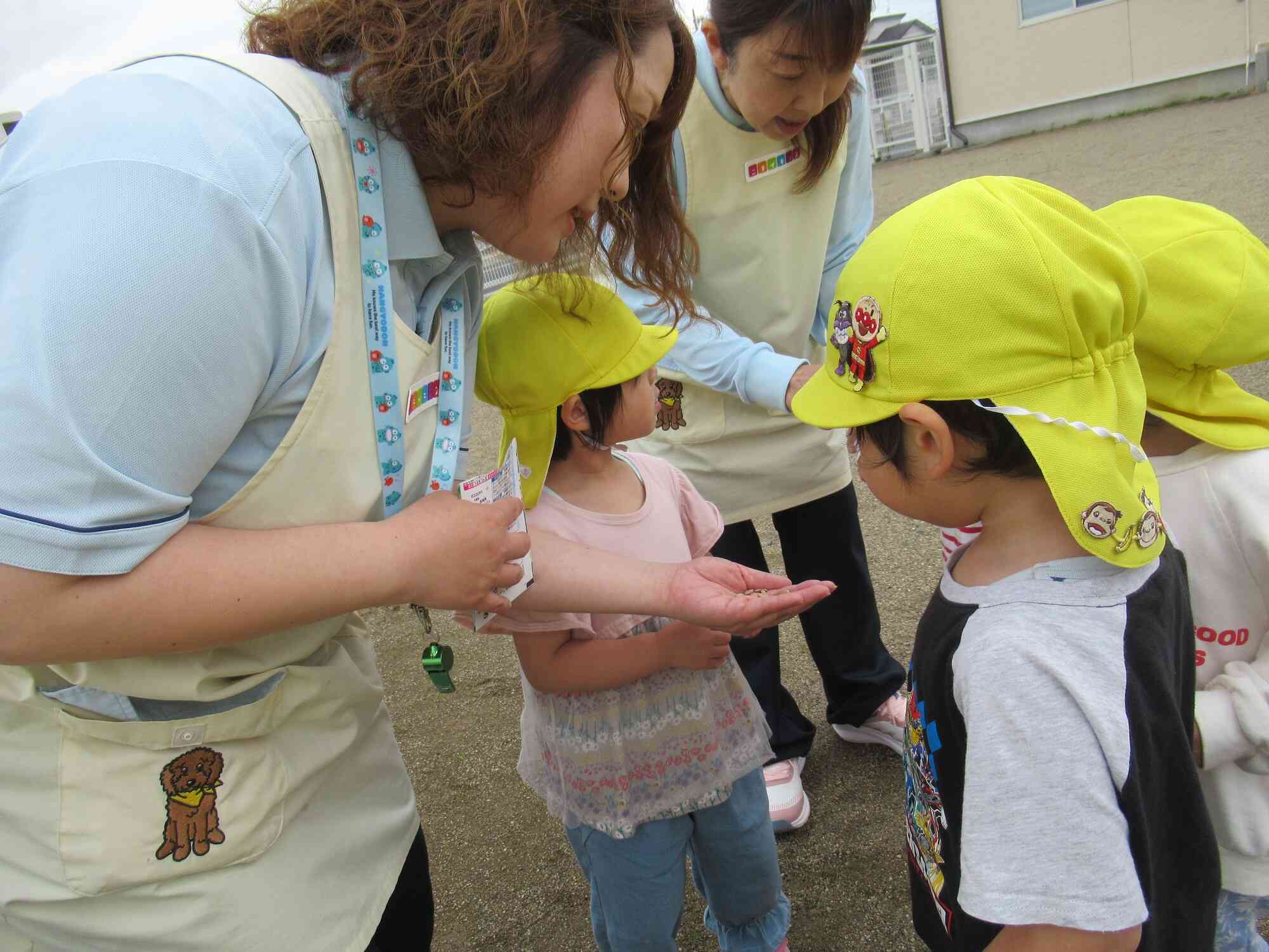 これは何の種かな？