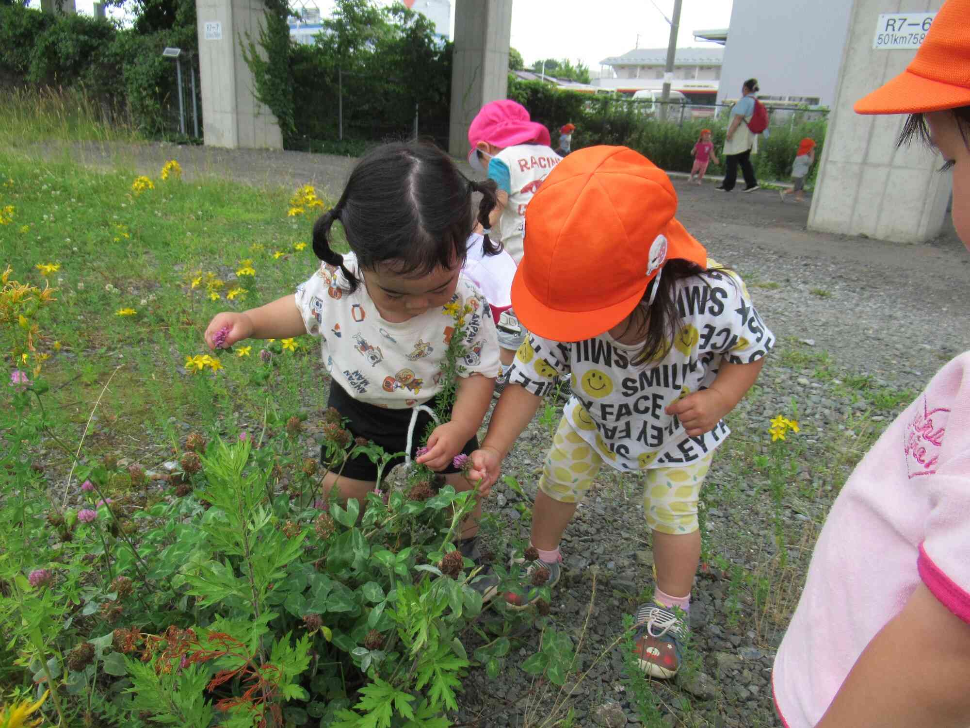 かわいいお花を見つけたの！