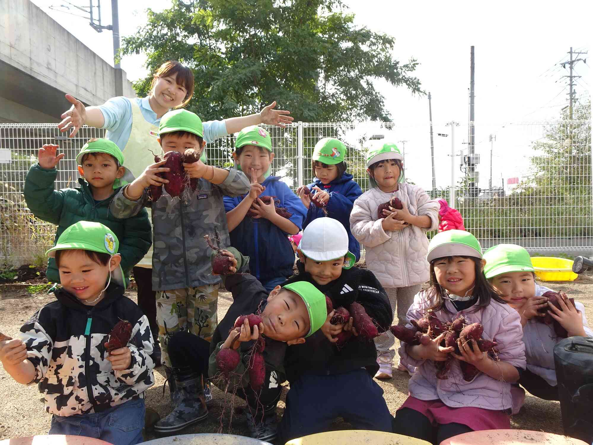 さつまいもの収穫　大豊作でした！