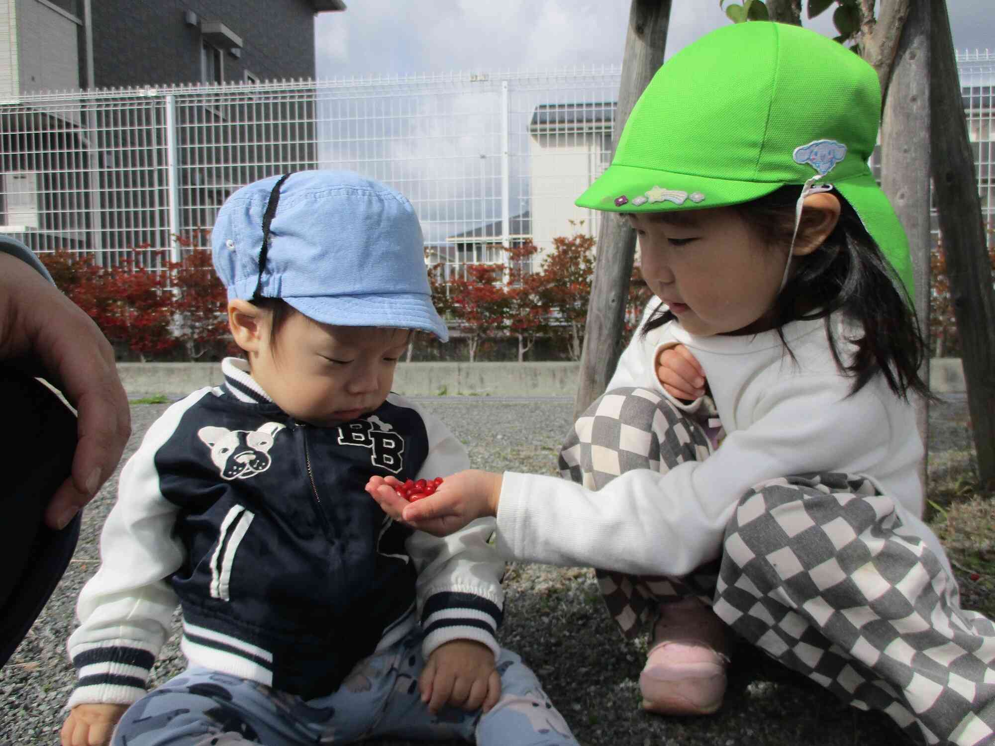 公園で赤い木の実を見つけました