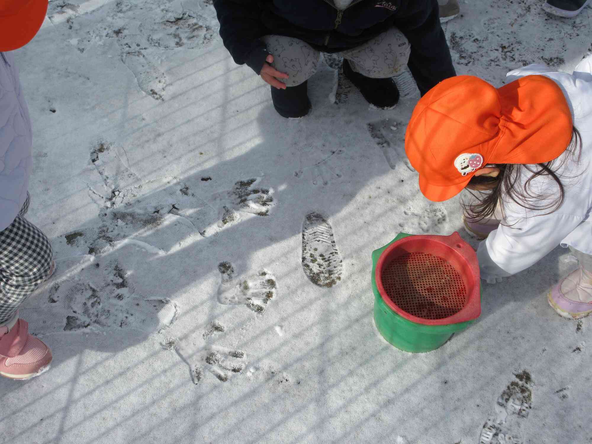 見てみて！できたよ！