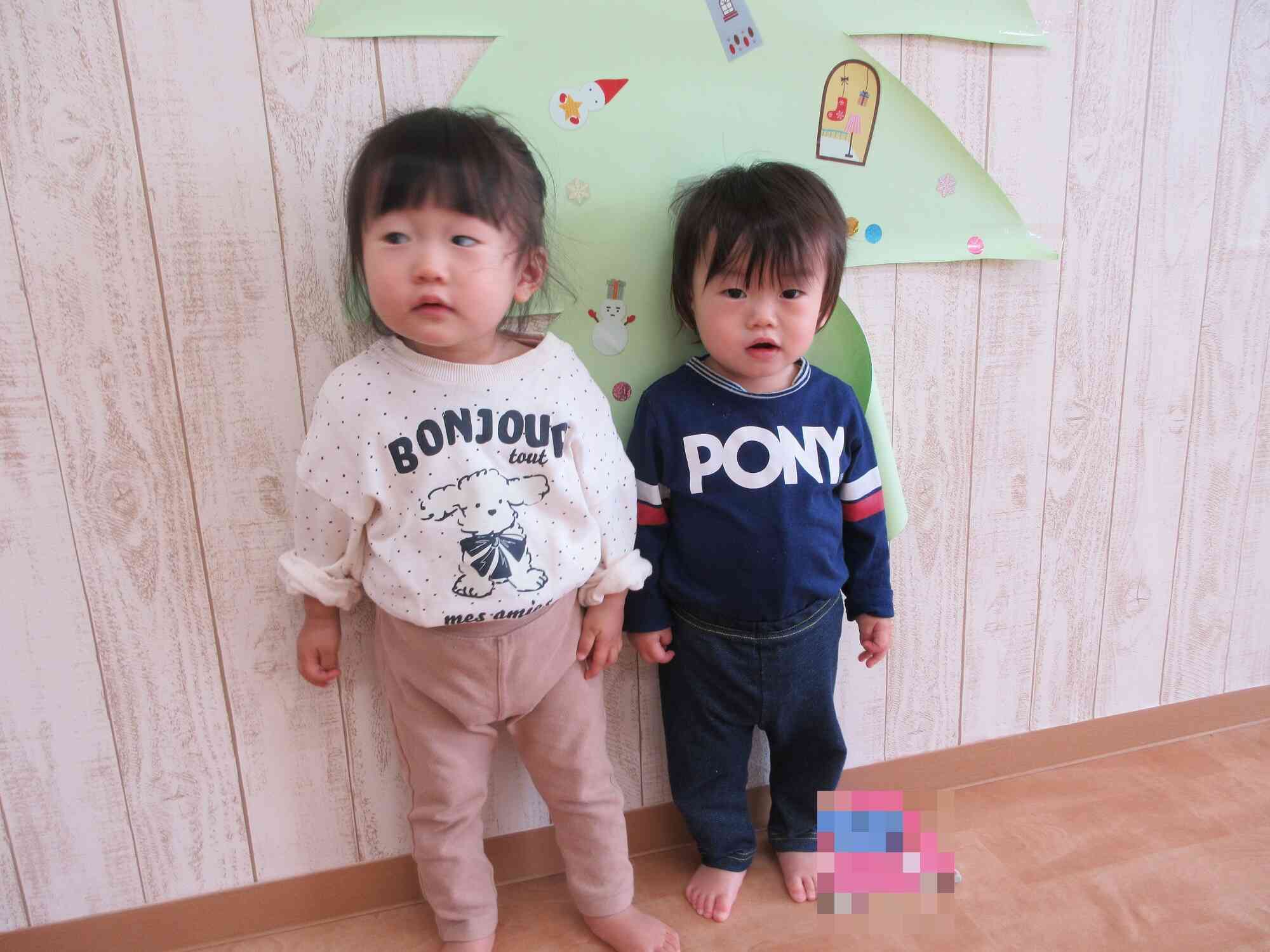 クリスマスツリーと一緒に