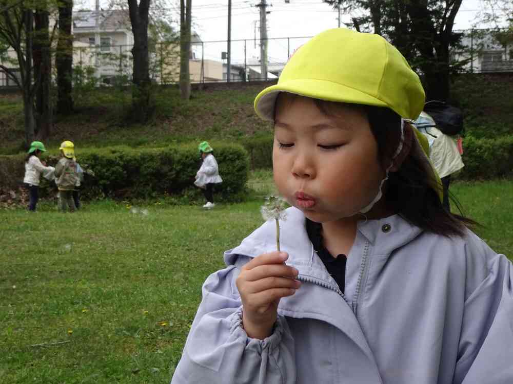 綿毛をふーっと、これも春の醍醐味ですね
