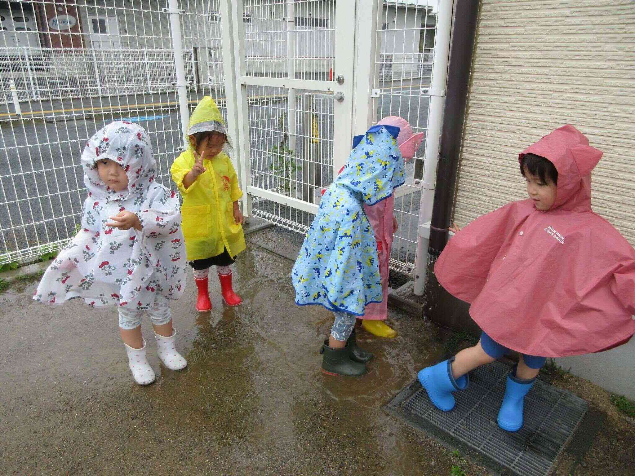 水たまりに入ってみちゃう？