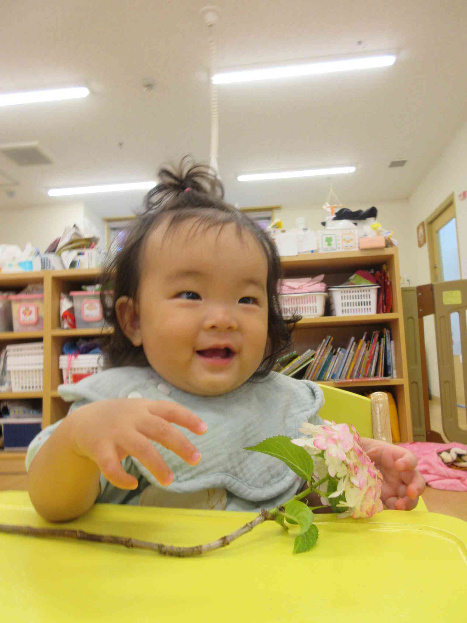 紫陽花の観察をしたよ（0歳児・ひよこ組）｜ニチイキッズ水戸保育園