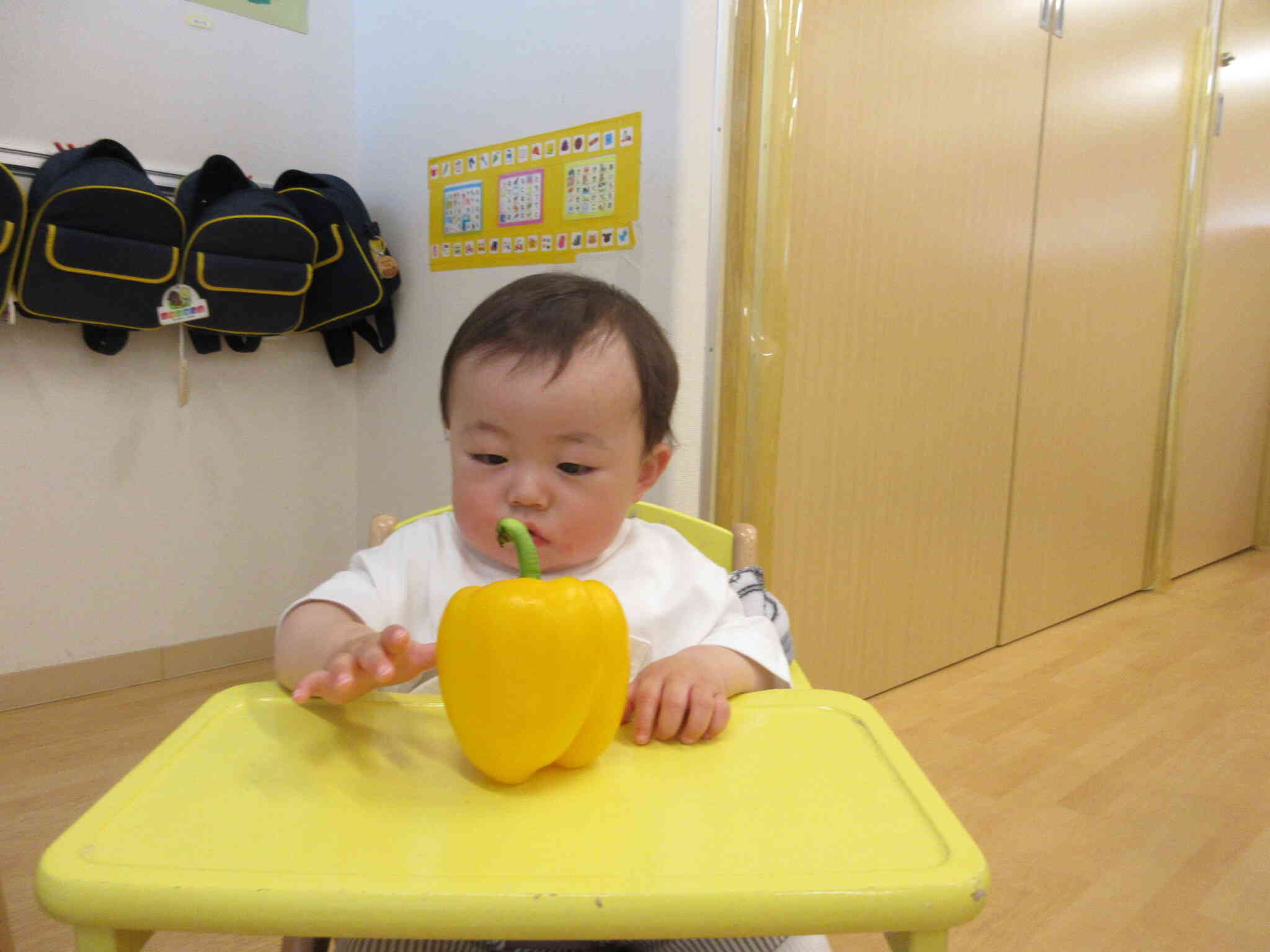 きれいな色をしているね