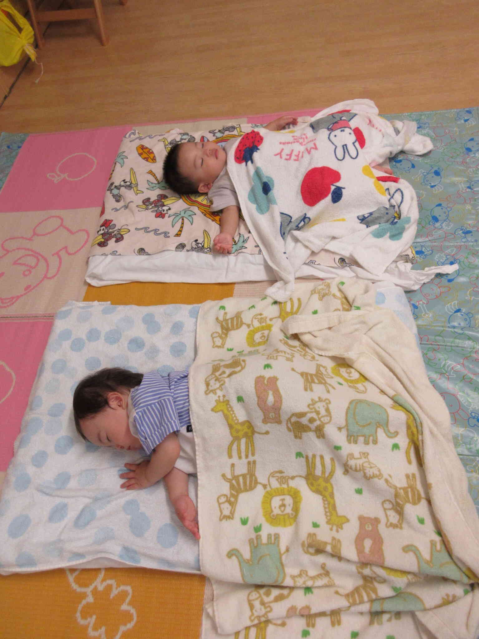 たくさん遊んで疲れたね。ゆっくりお休みなさいZZZ