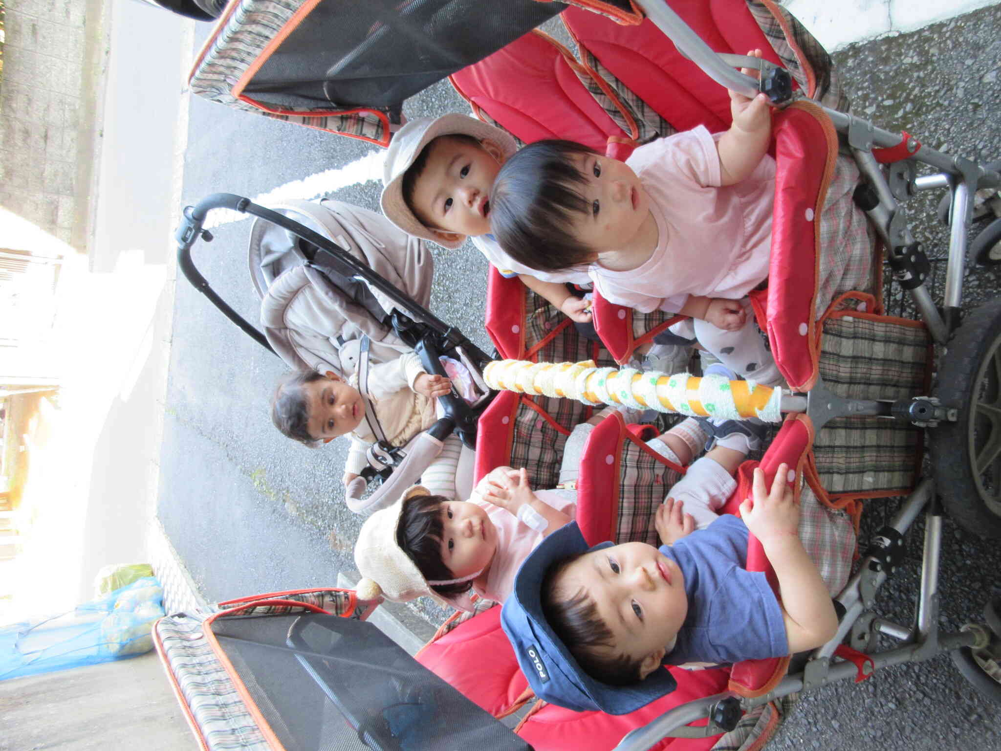 公園で遊びました!(0歳児・ひよこ組)