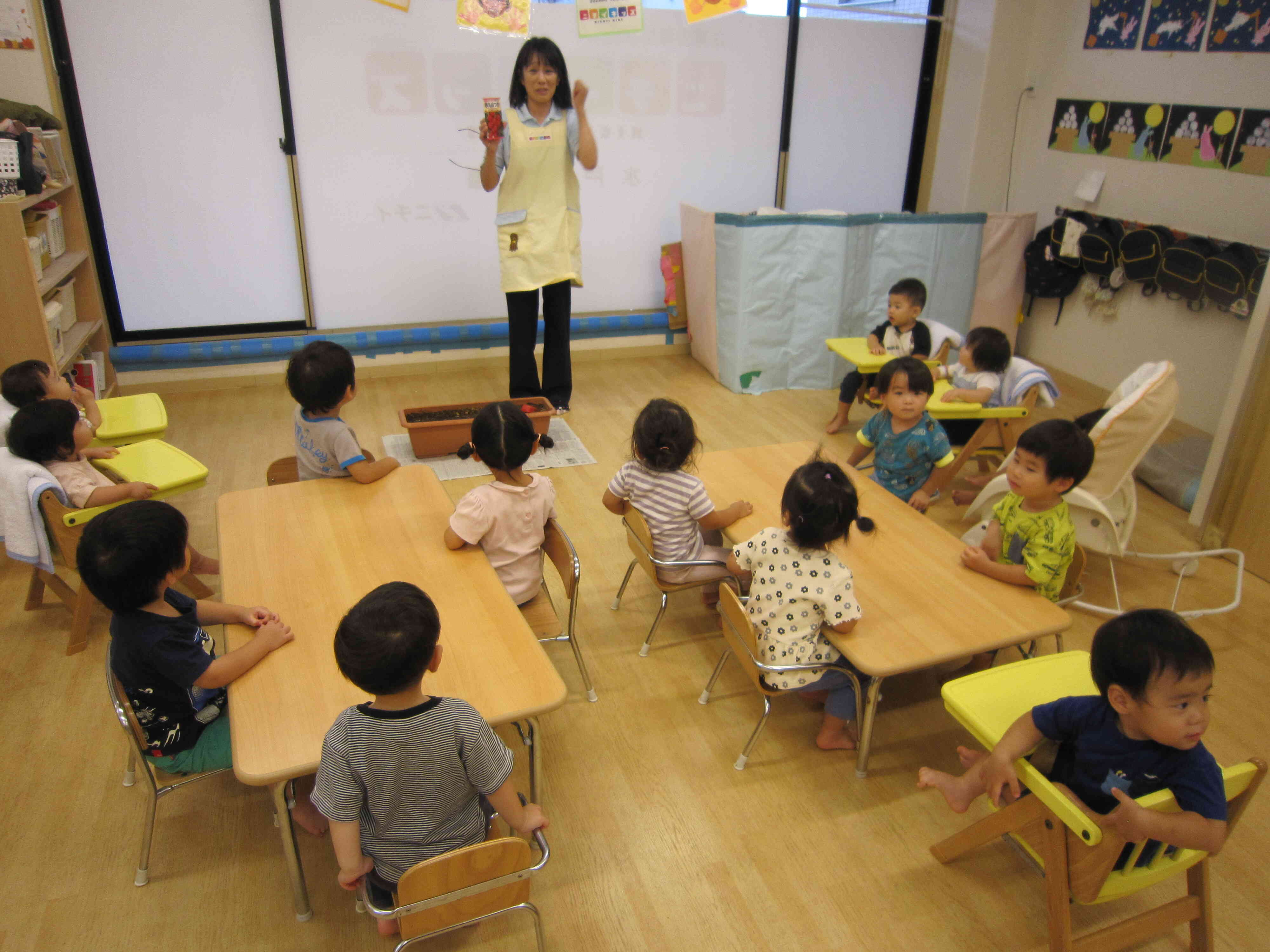 はつかだいこんを植えたよ！