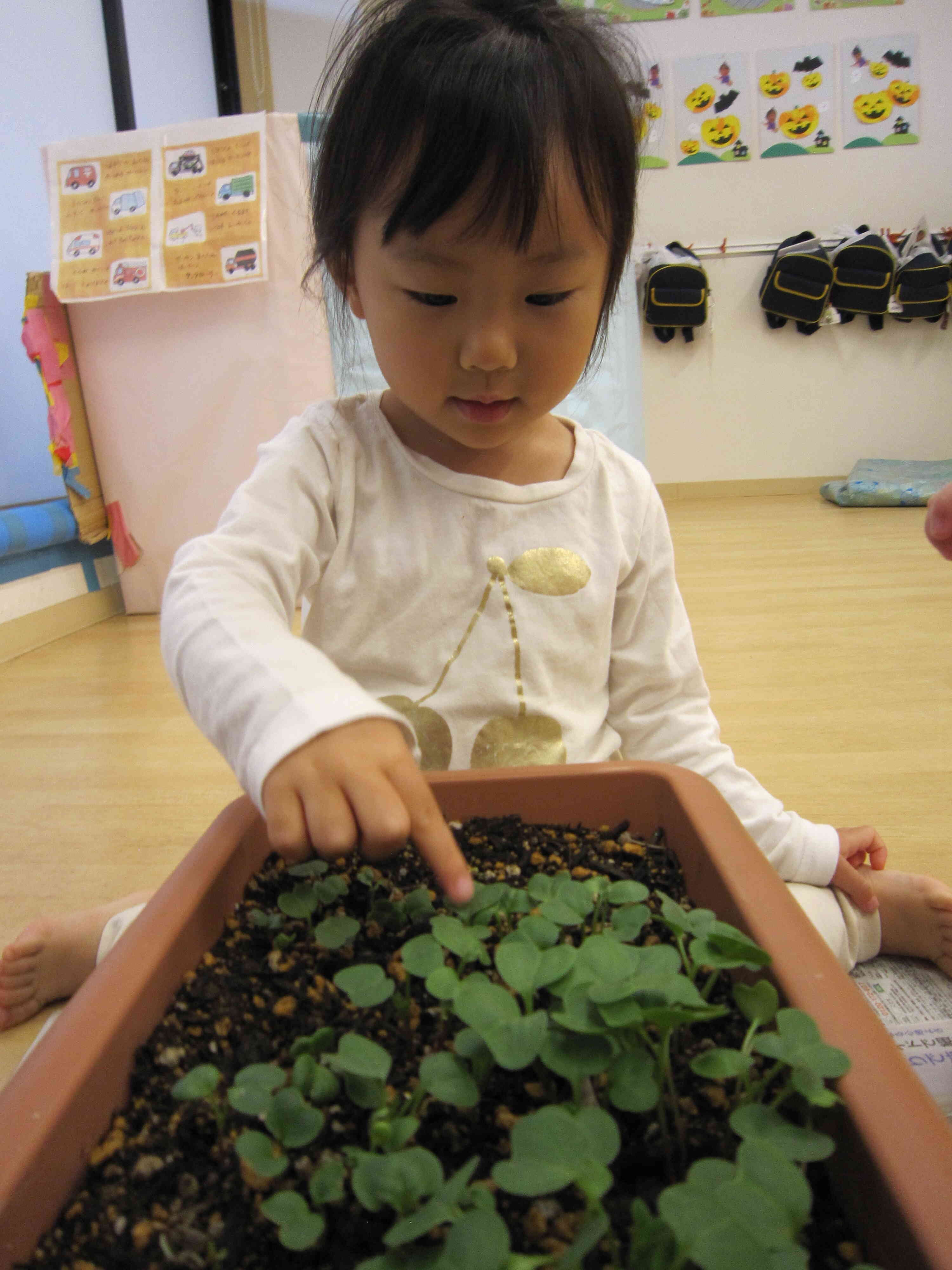 葉っぱがいっぱい～！！