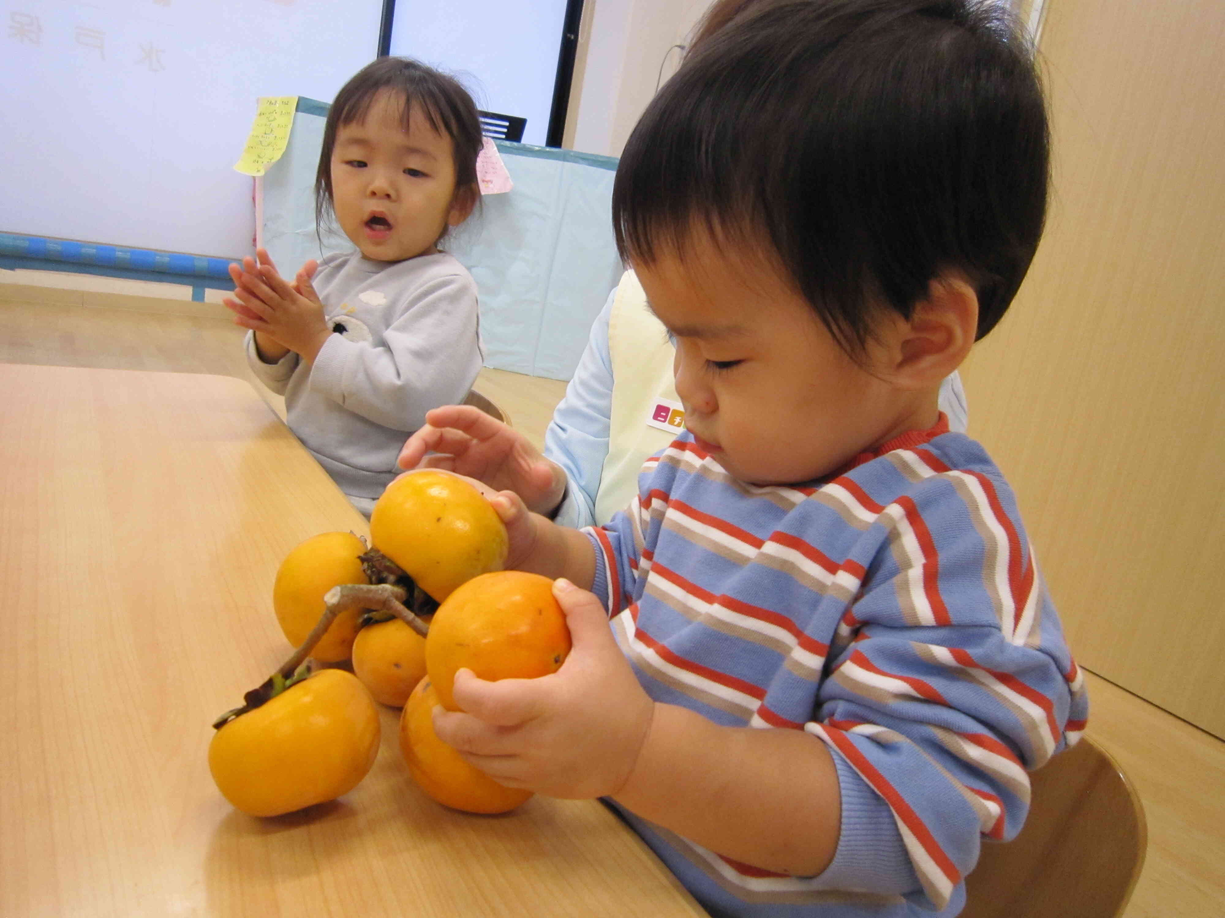柿もぎ体験☆たくさんの柿に興味津々！