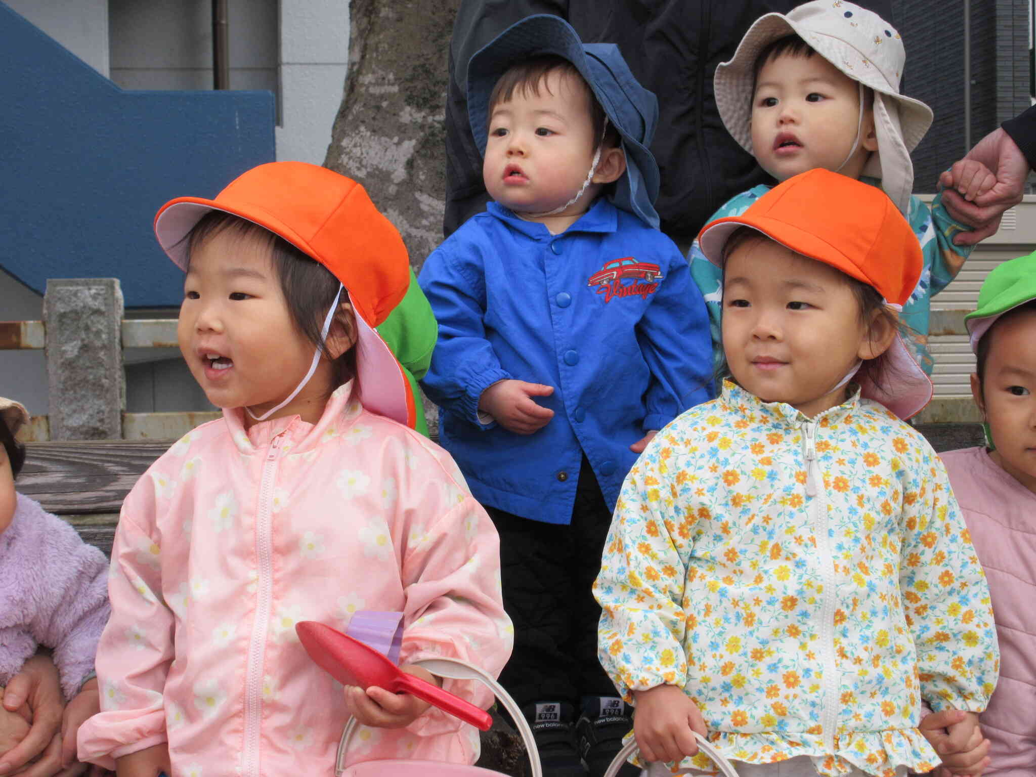 みんなで芝刈り作業を見ています♪