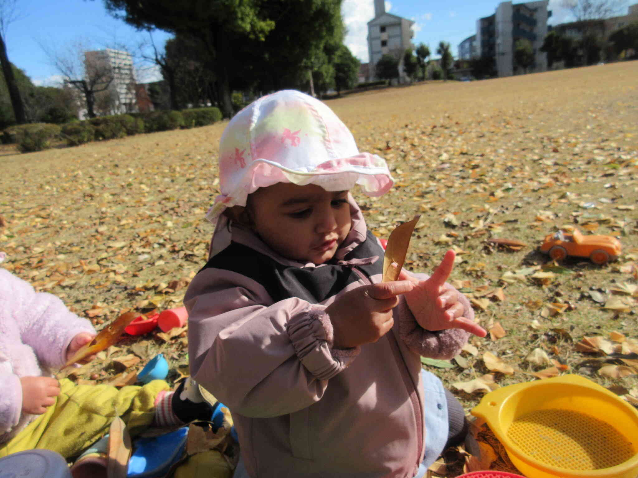 表も裏もじっくり観察！