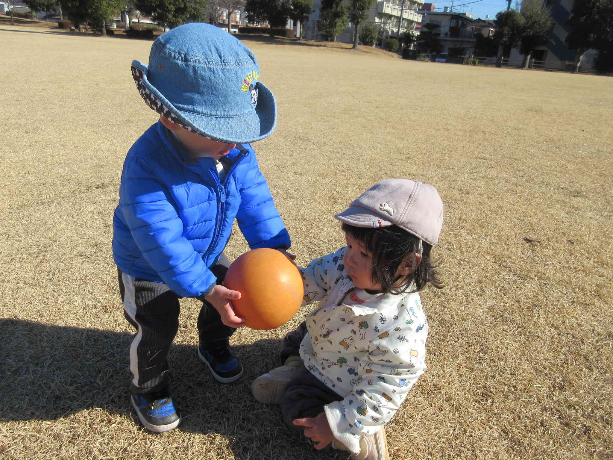 ボールをどうぞ！