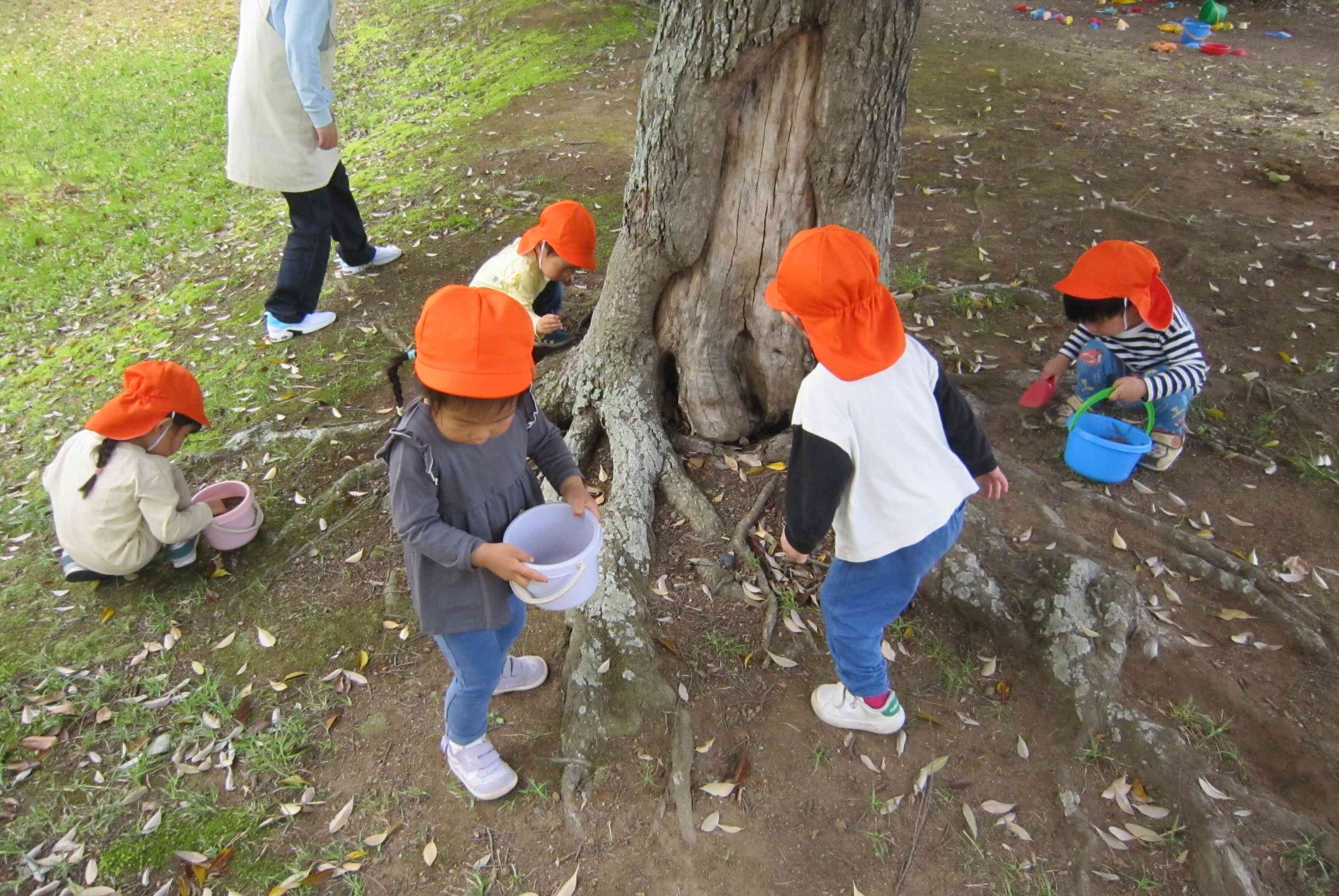 今週のうさぎ組①