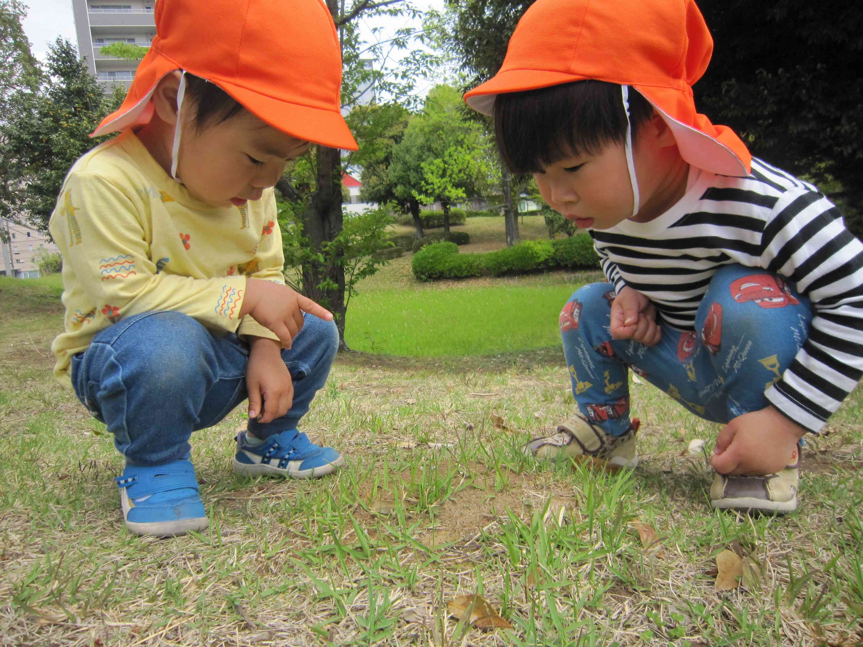 今週のうさぎ組②