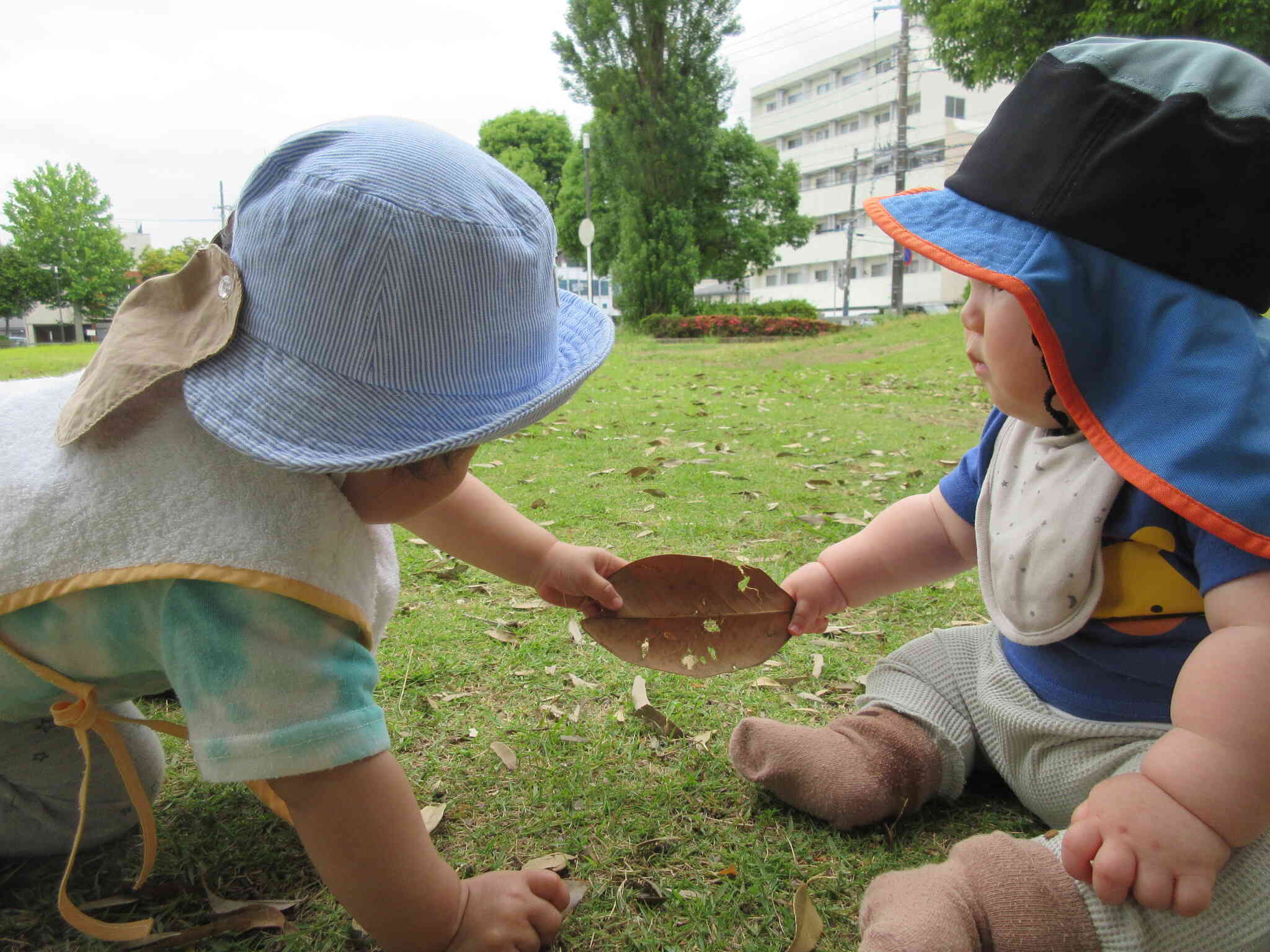 ひよこ組の様子（０歳児）