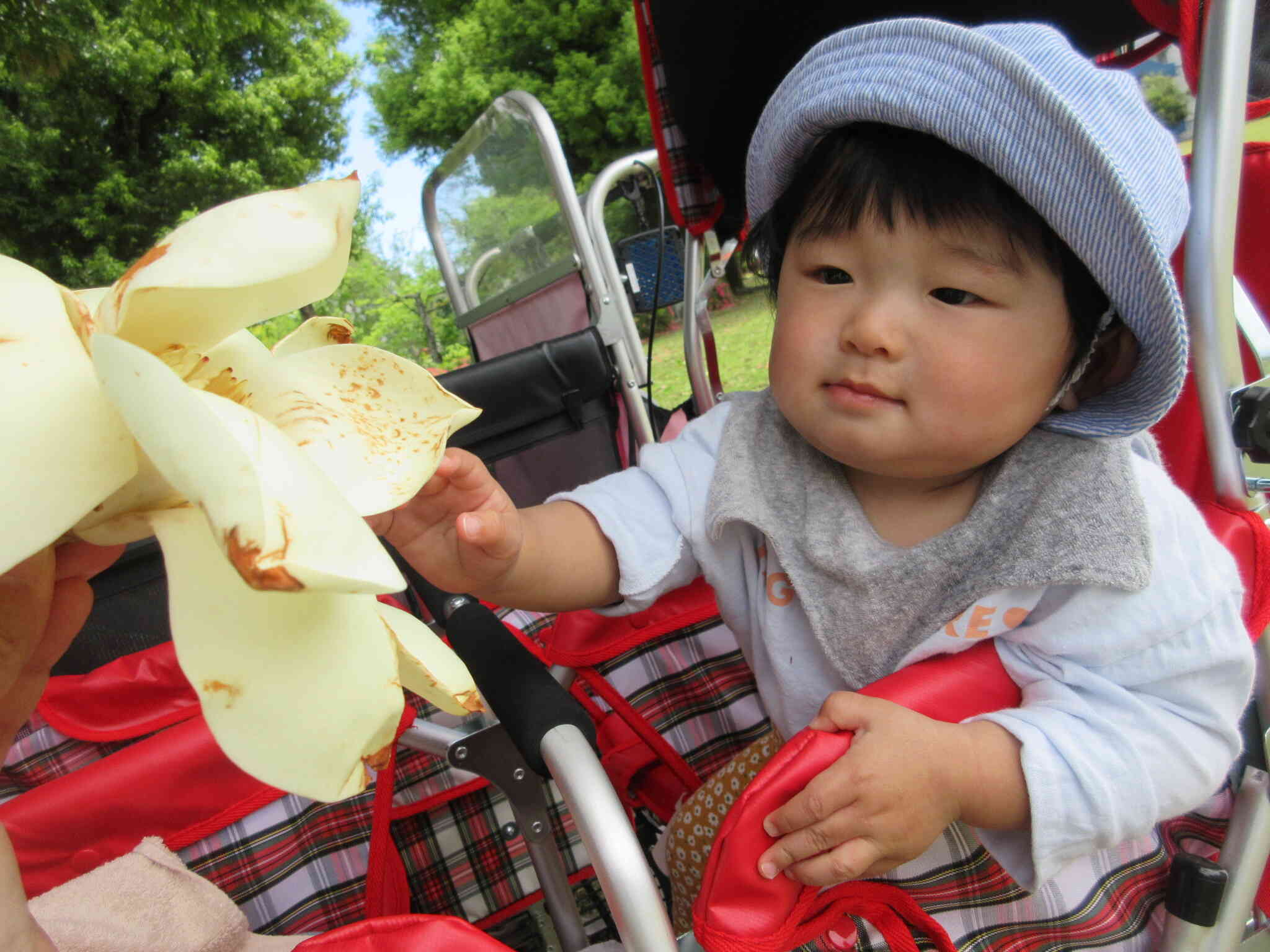 台風の後の公園で...（０歳児・ひよこ組）