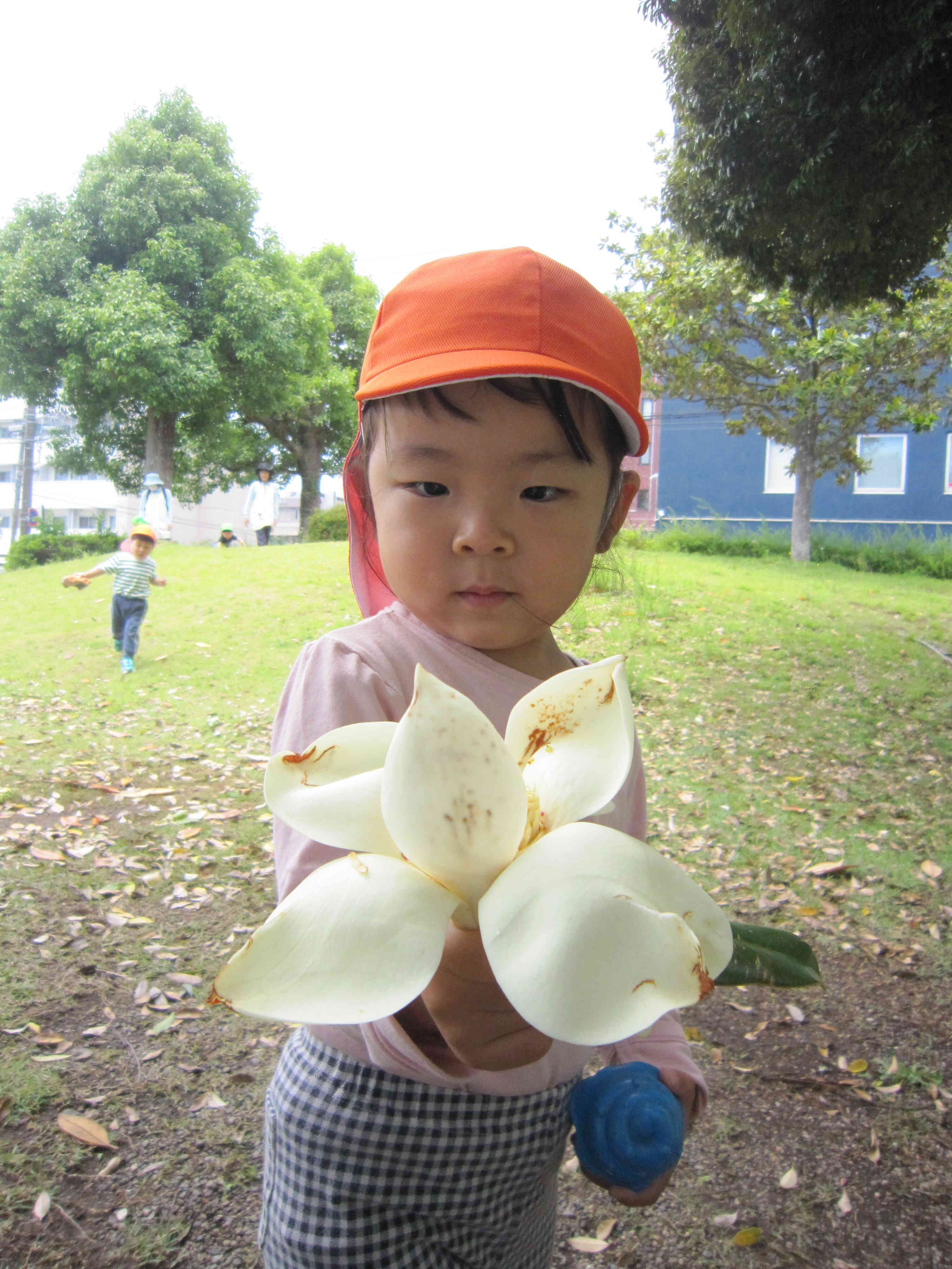おもいっきり戸外遊び②2歳児うさぎ組