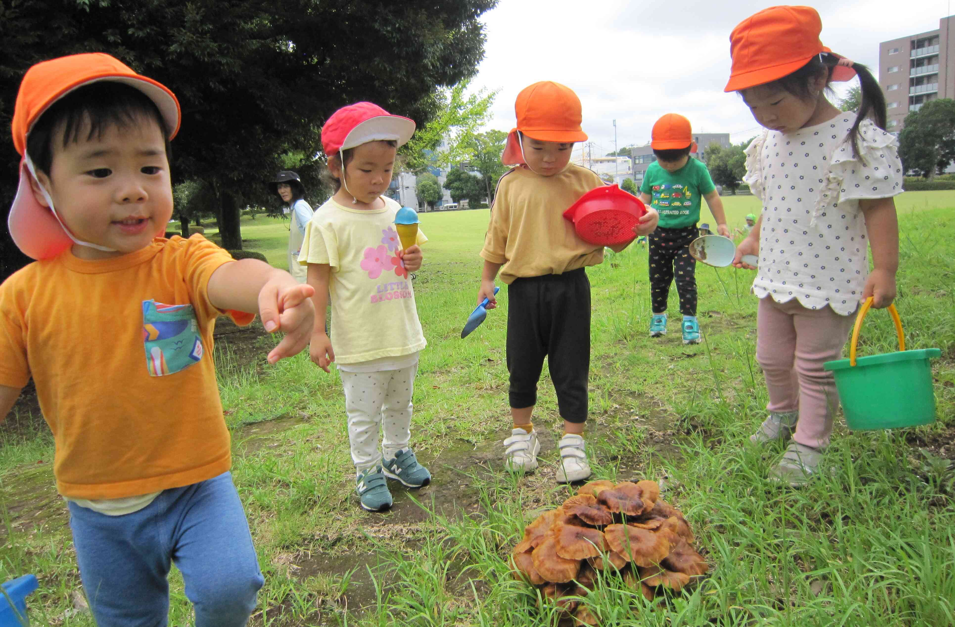 公園探索~うさぎ組2歳児①~