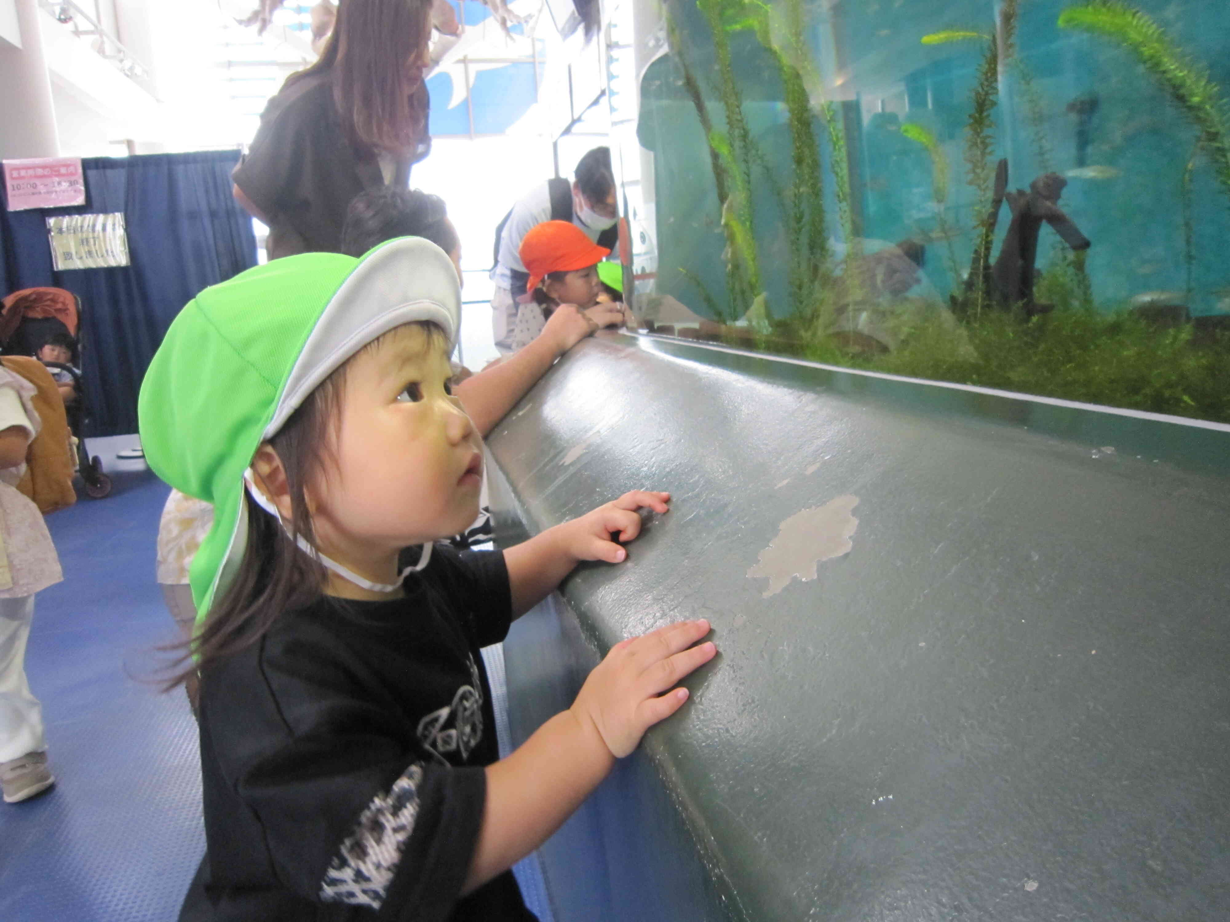 水族館でのみんなの様子!②