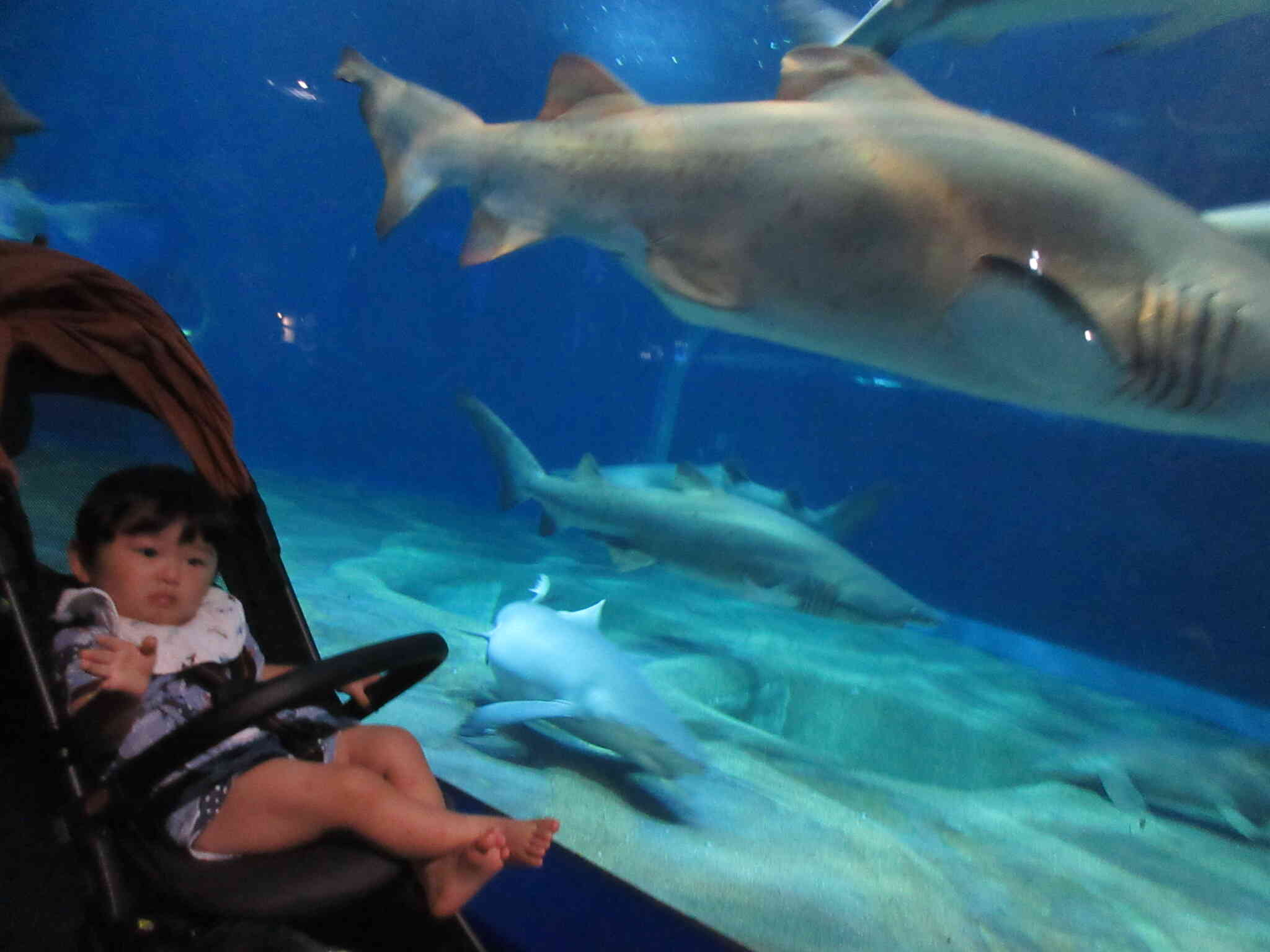 水族館でのみんなの様子！③