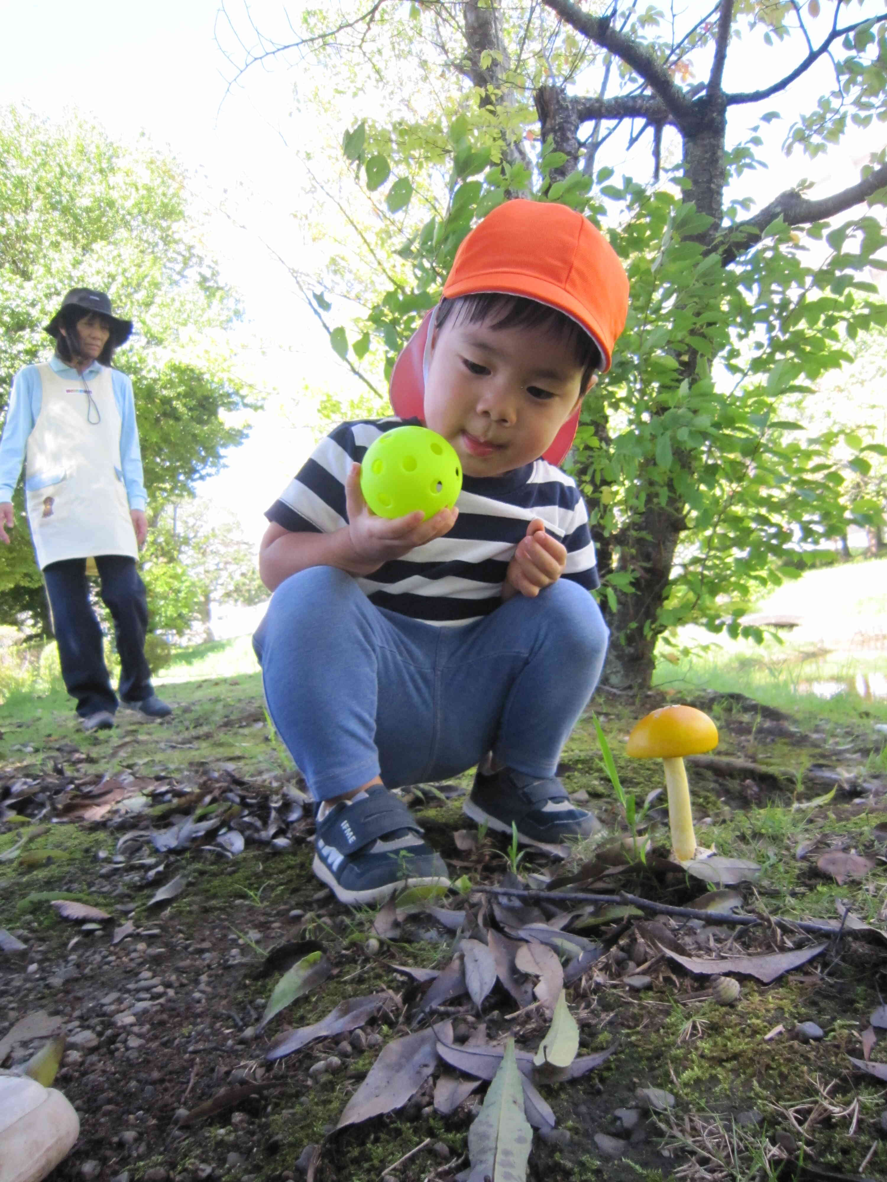 公園探索～うさぎ組2歳児②～