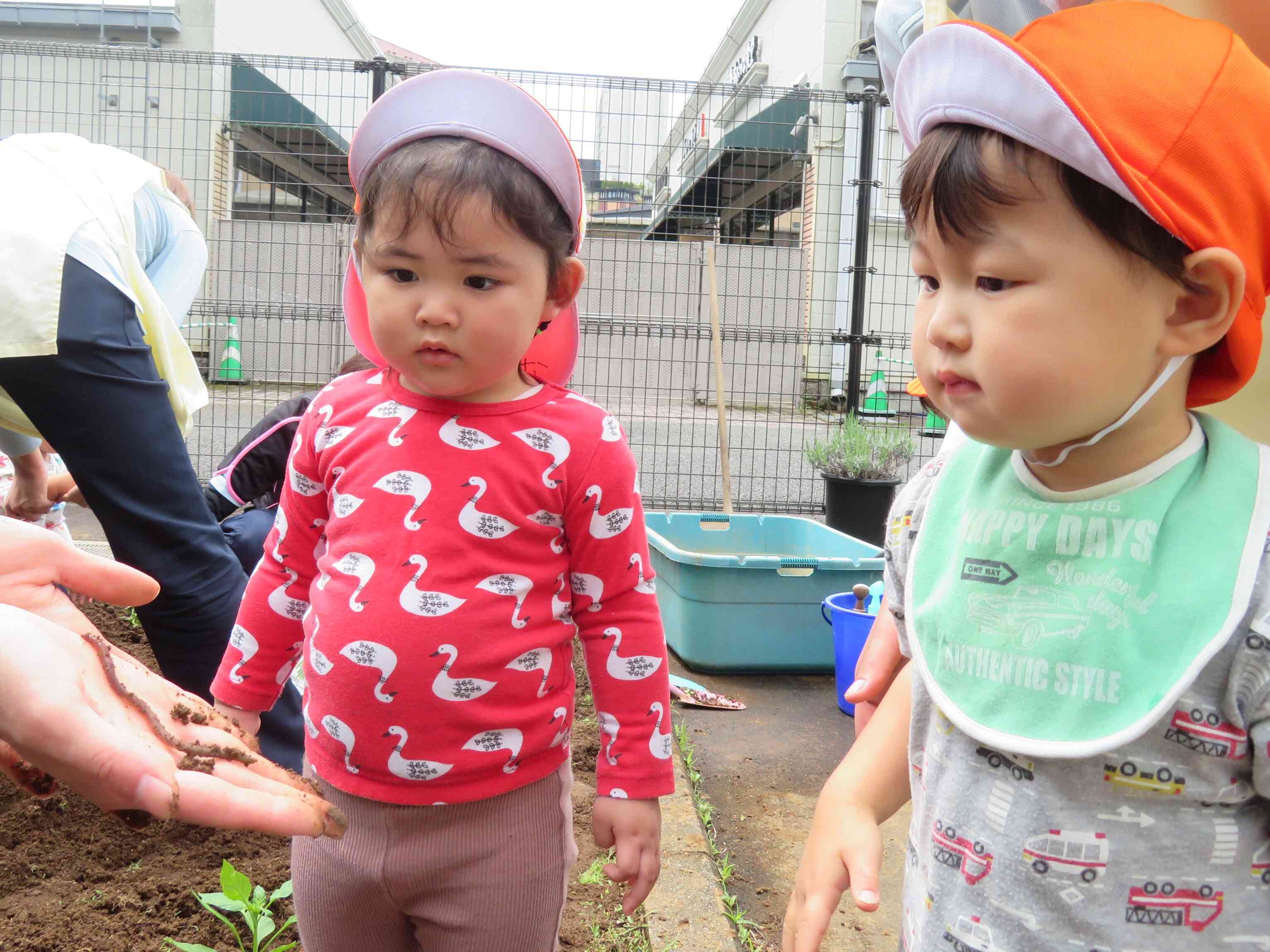 ミミズがでてきたよ。子どもたちにこんにちわだね。