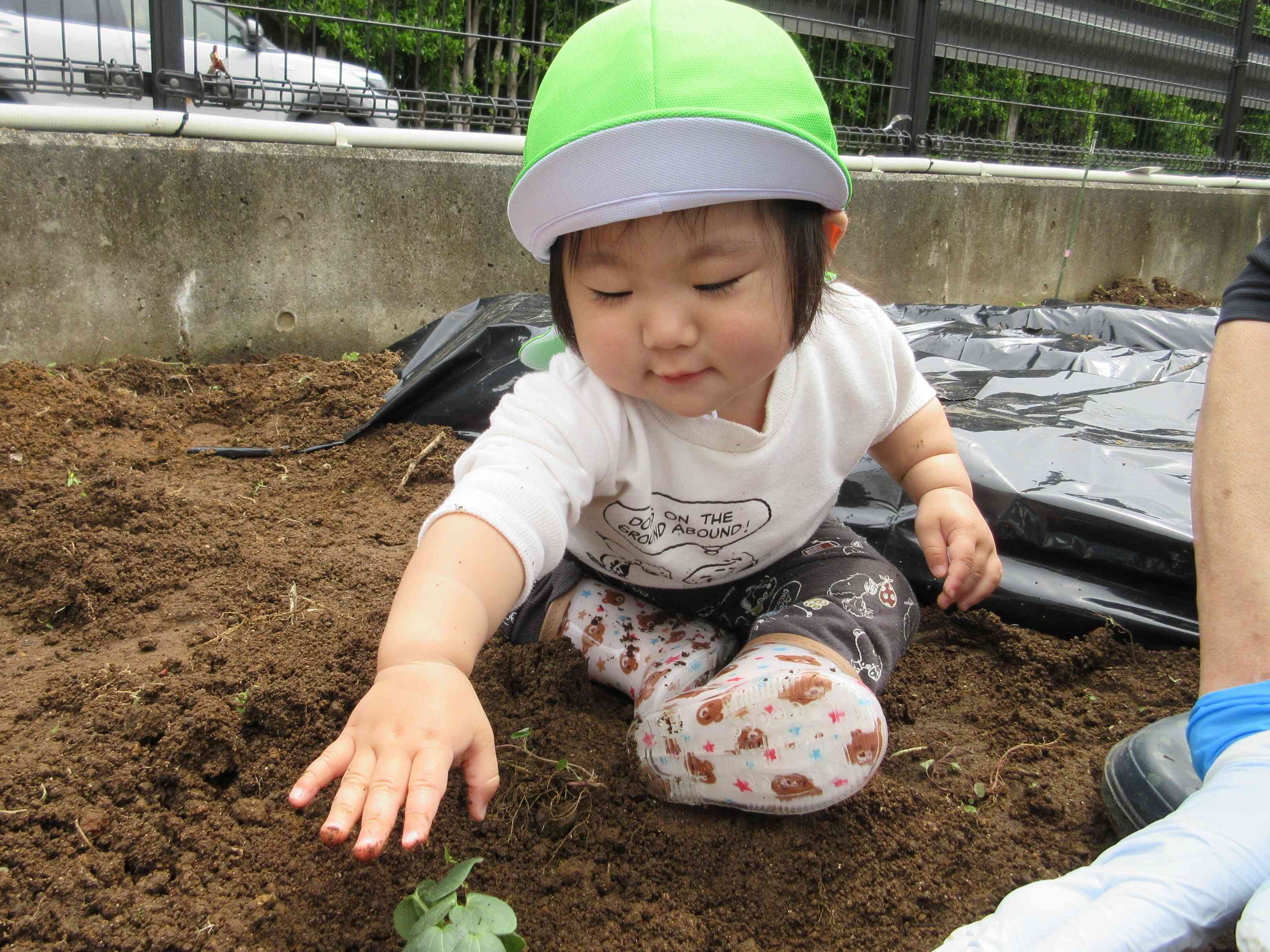 おくら、たくさん出来るといいね！