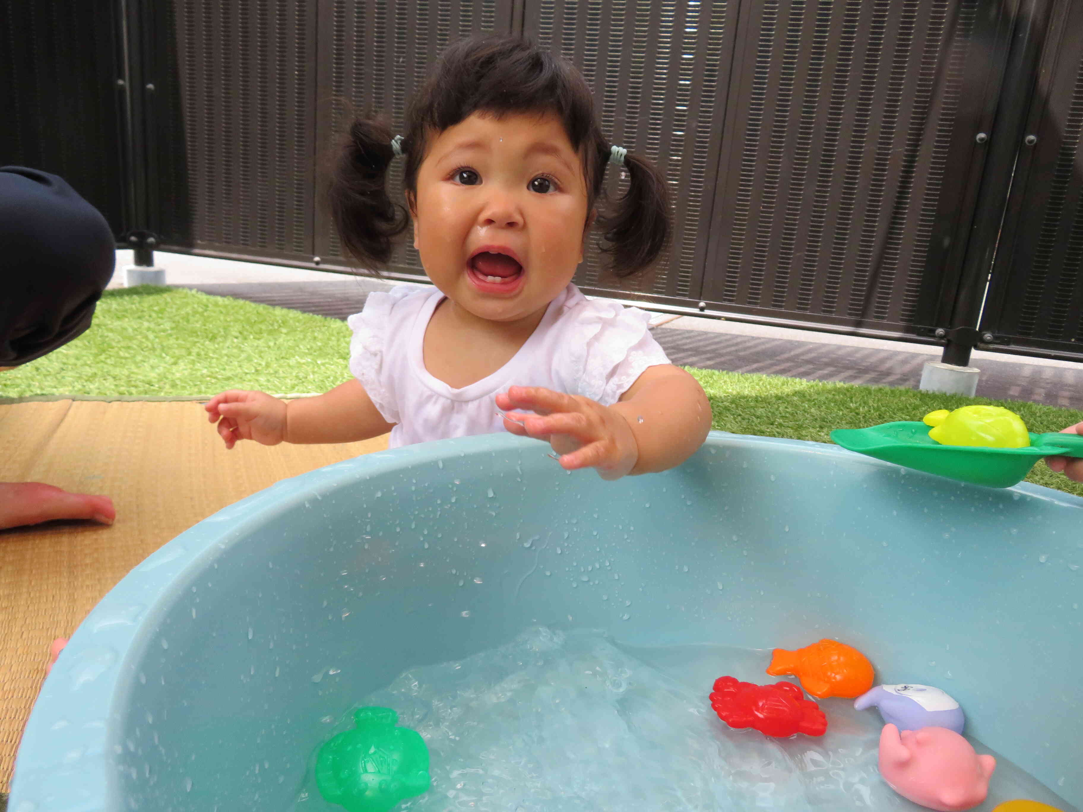 水遊びが始まりました