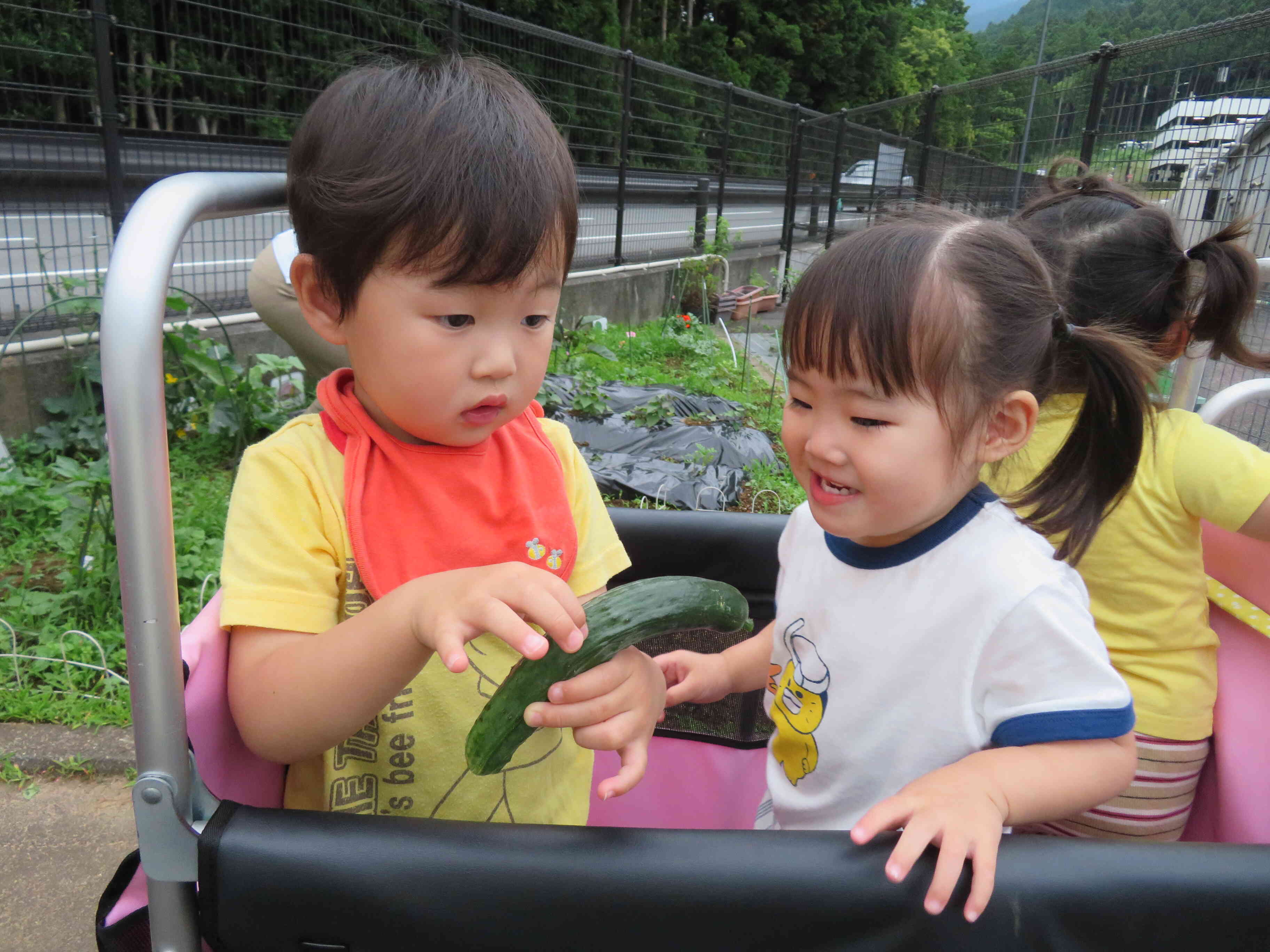 とれたてのきゅうりはごつごつしてるんだね。