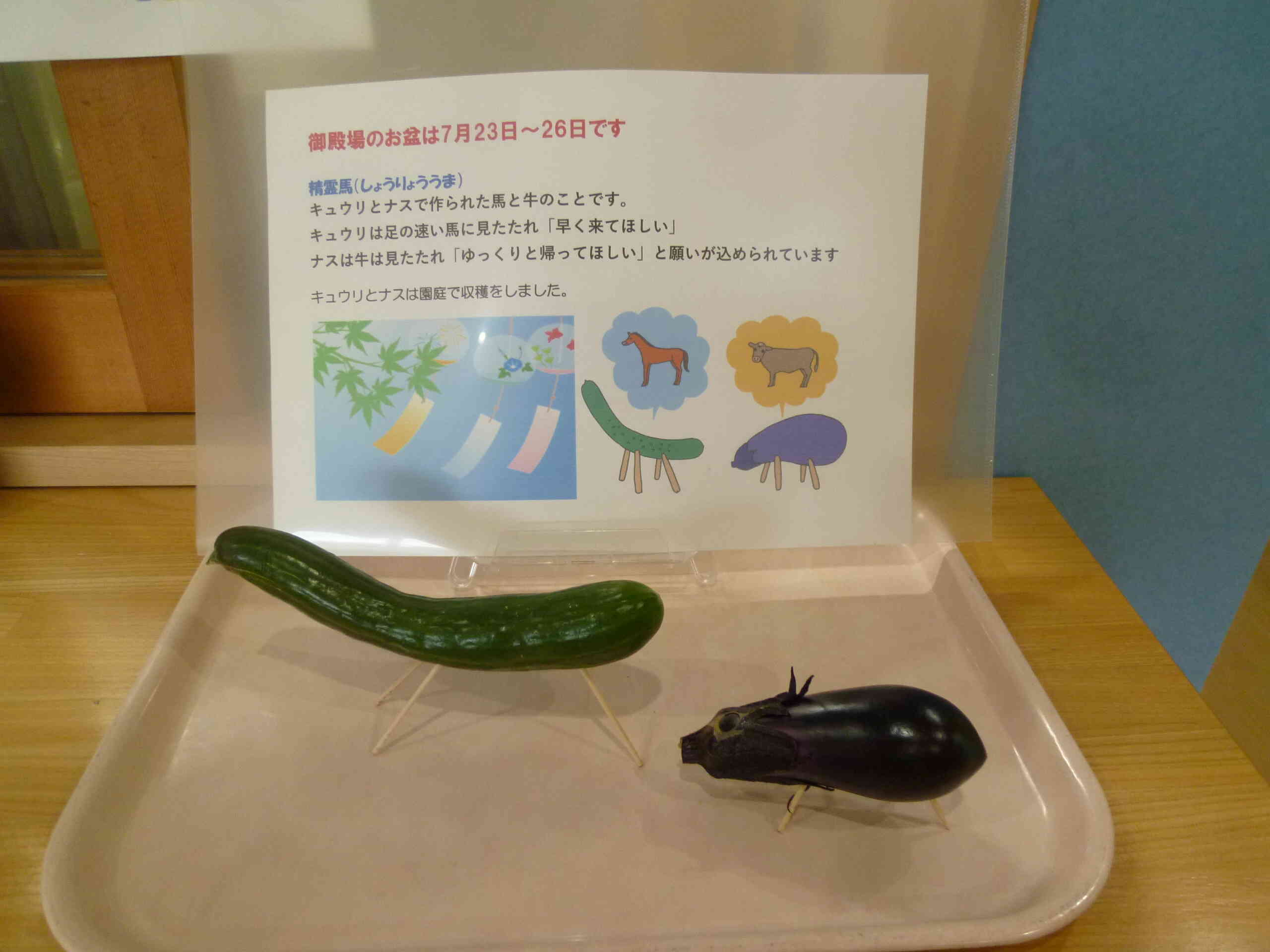 お盆に園庭で採れた、ナスとキュウリで馬と牛を飾りました。