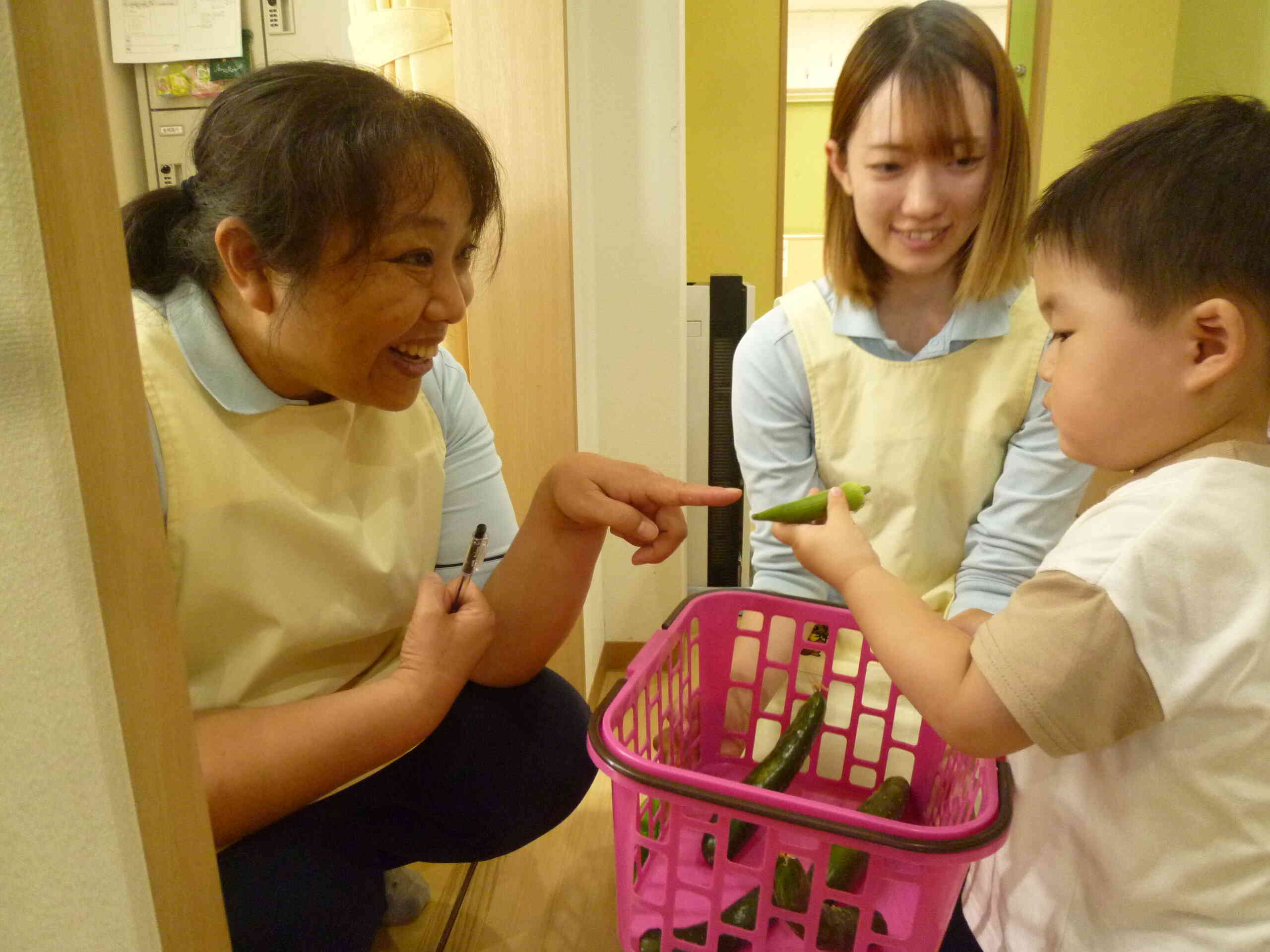 食育　夏野菜の収穫