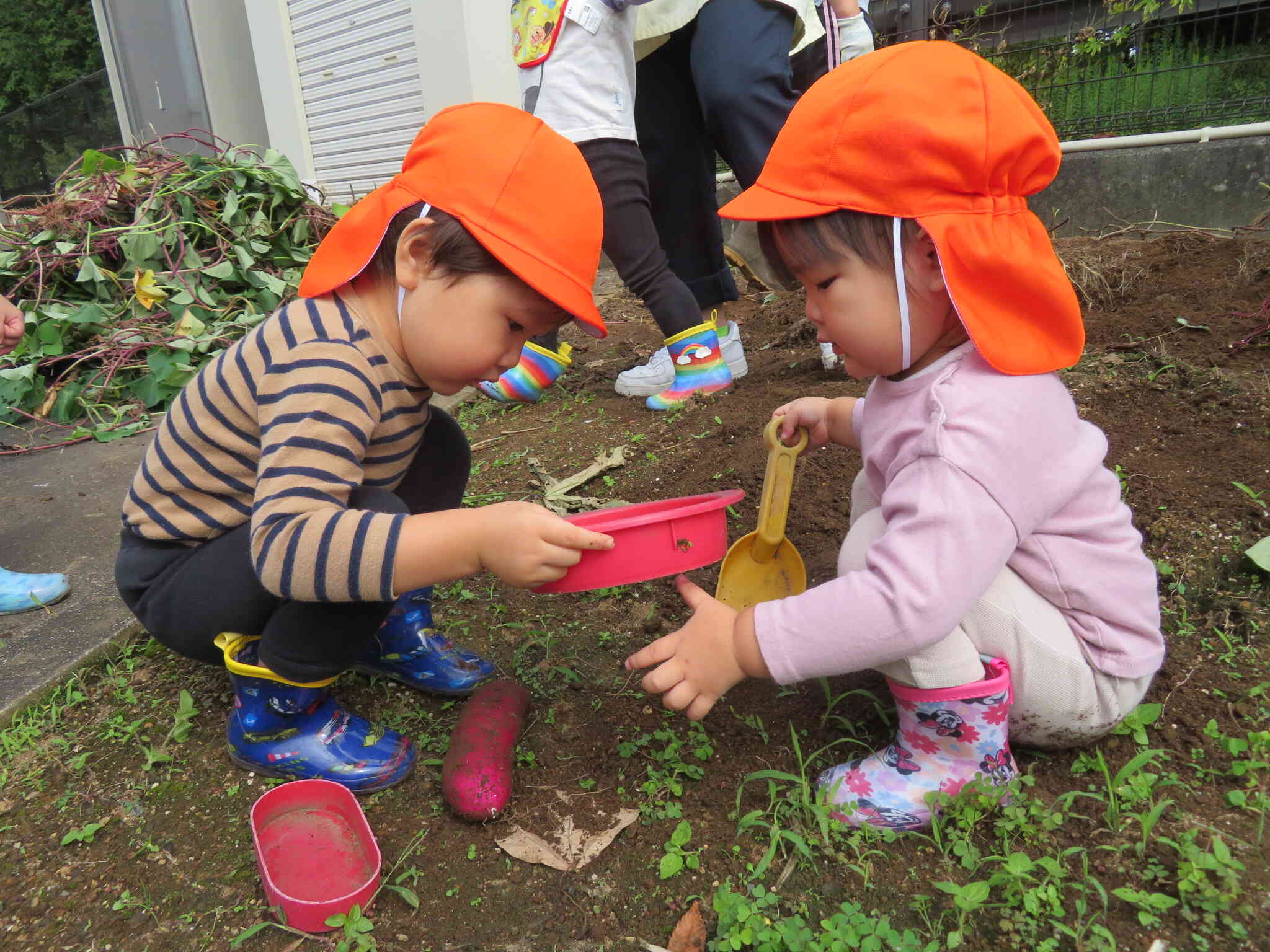 畑の土で遊んじゃえ！