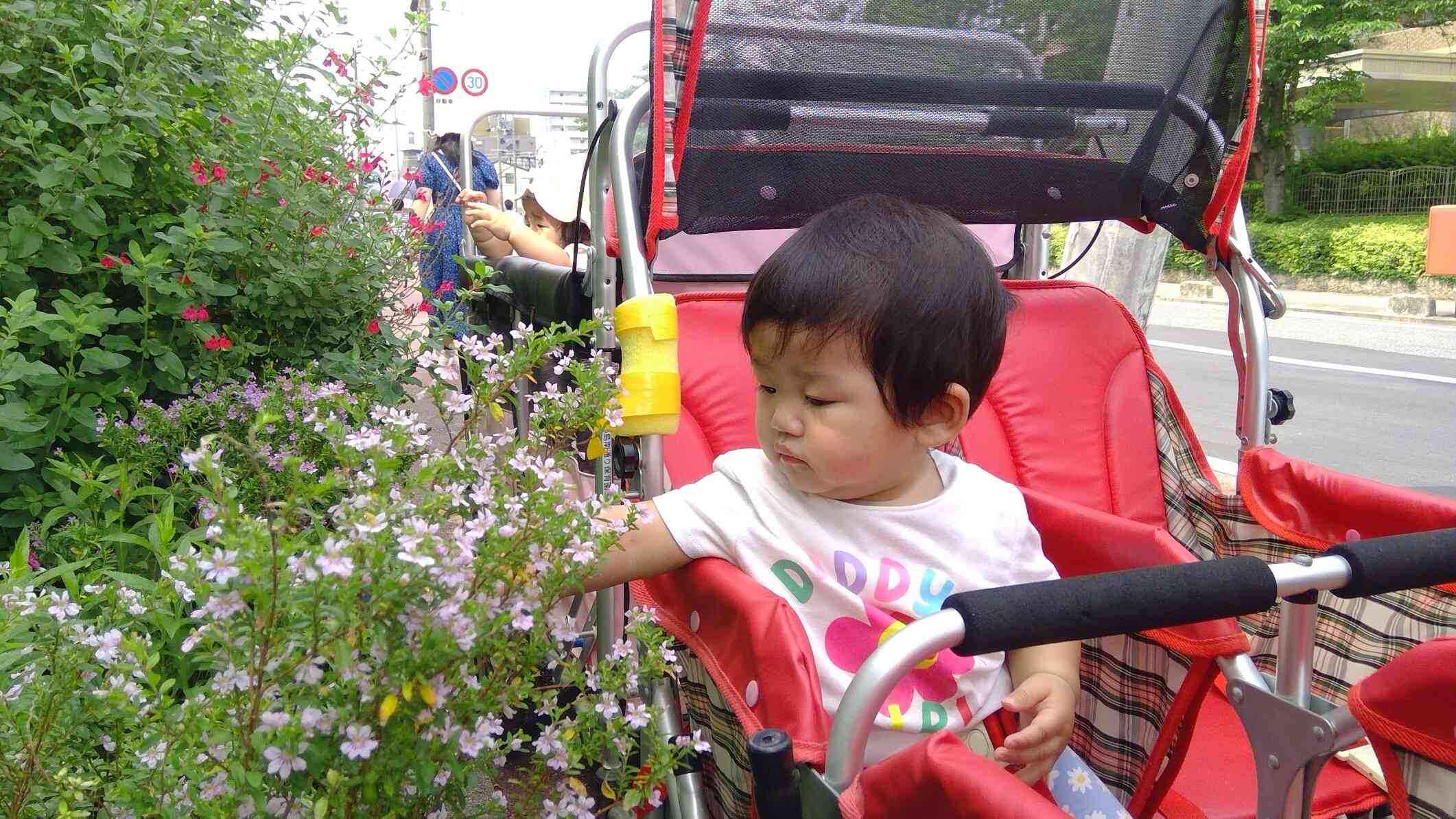 お散歩（0歳児）
