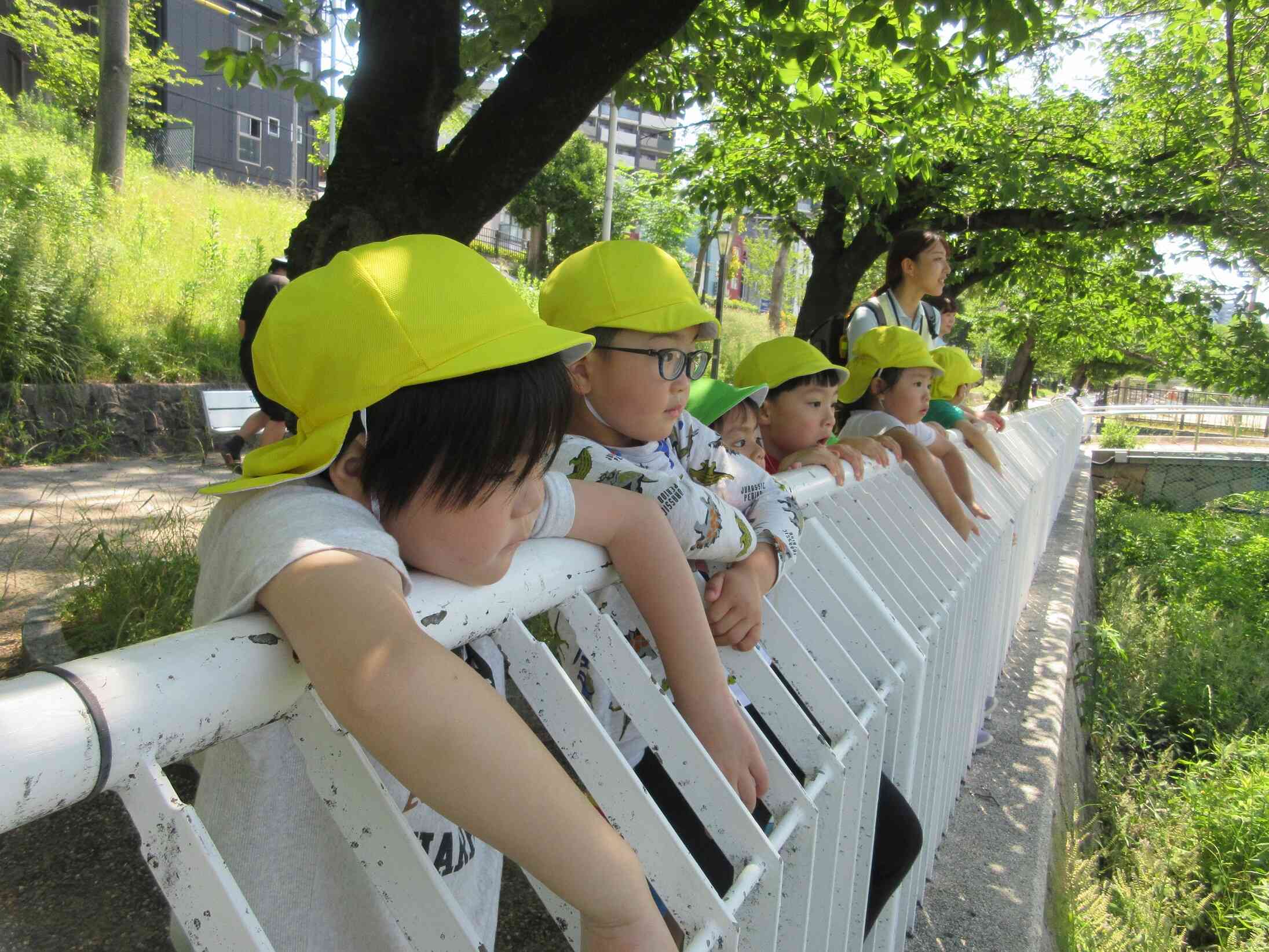 お散歩（3歳児、5歳児）