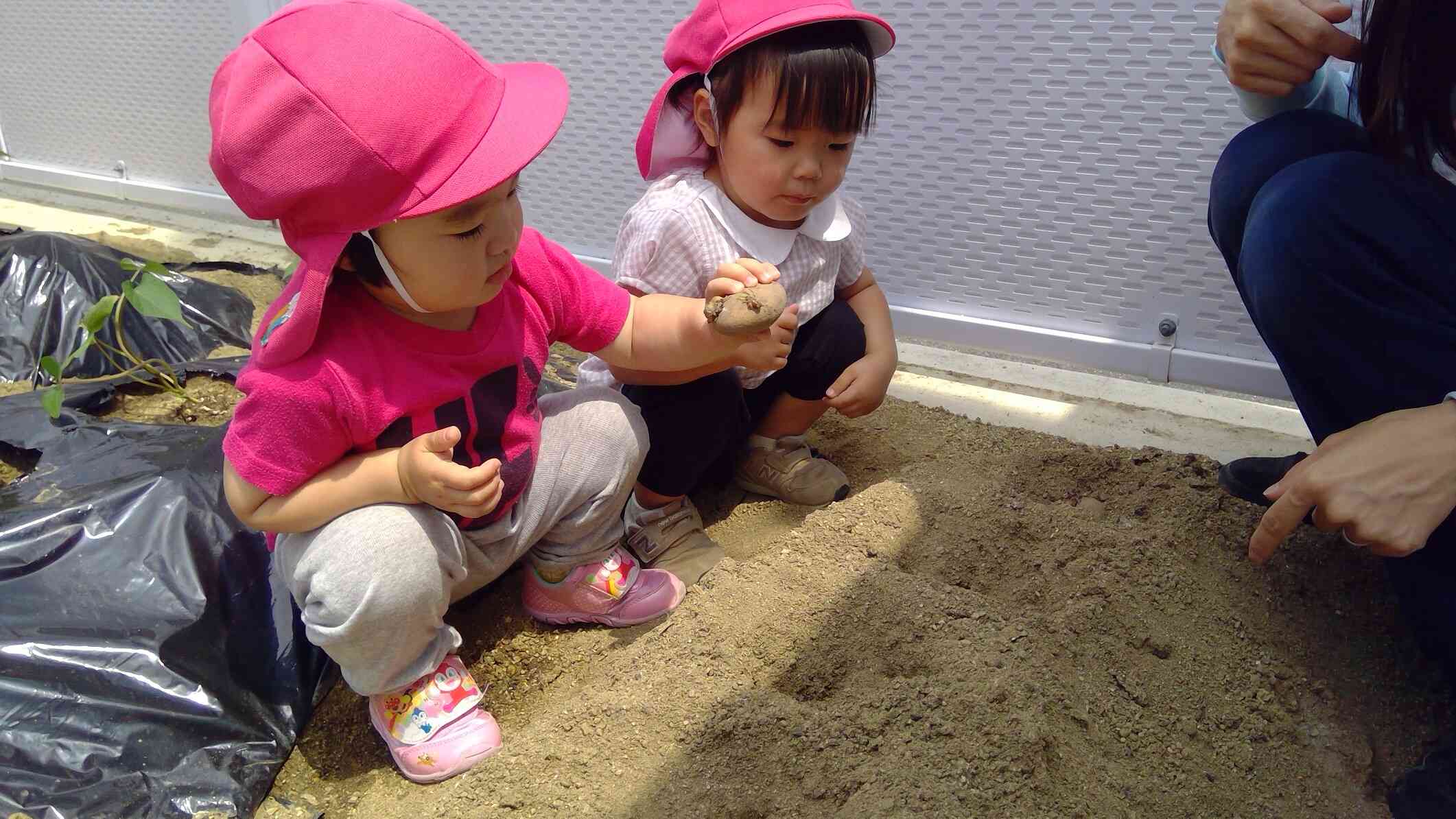 やさいさーん　(2歳児)