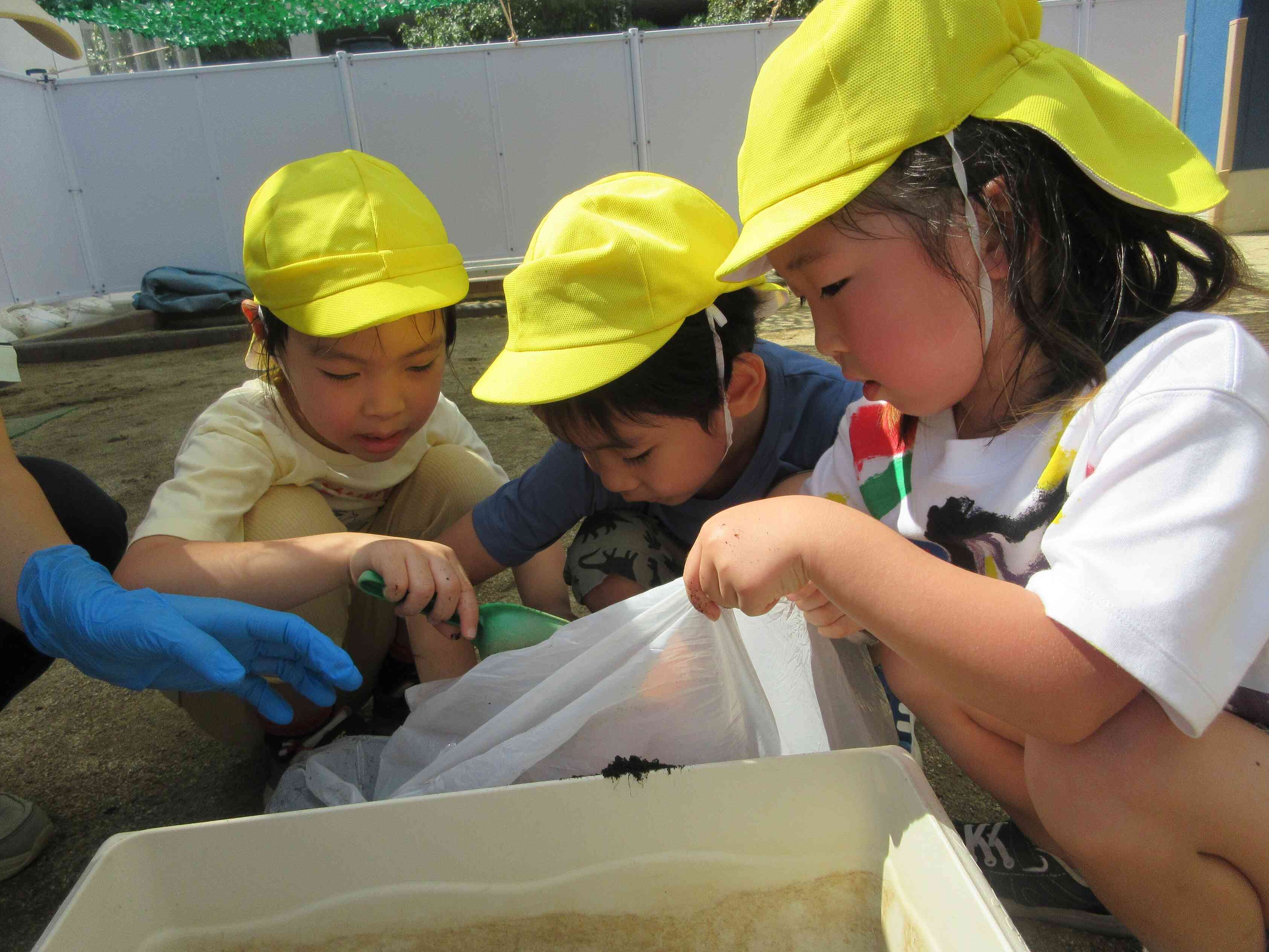 土を入れて種を植えよう！