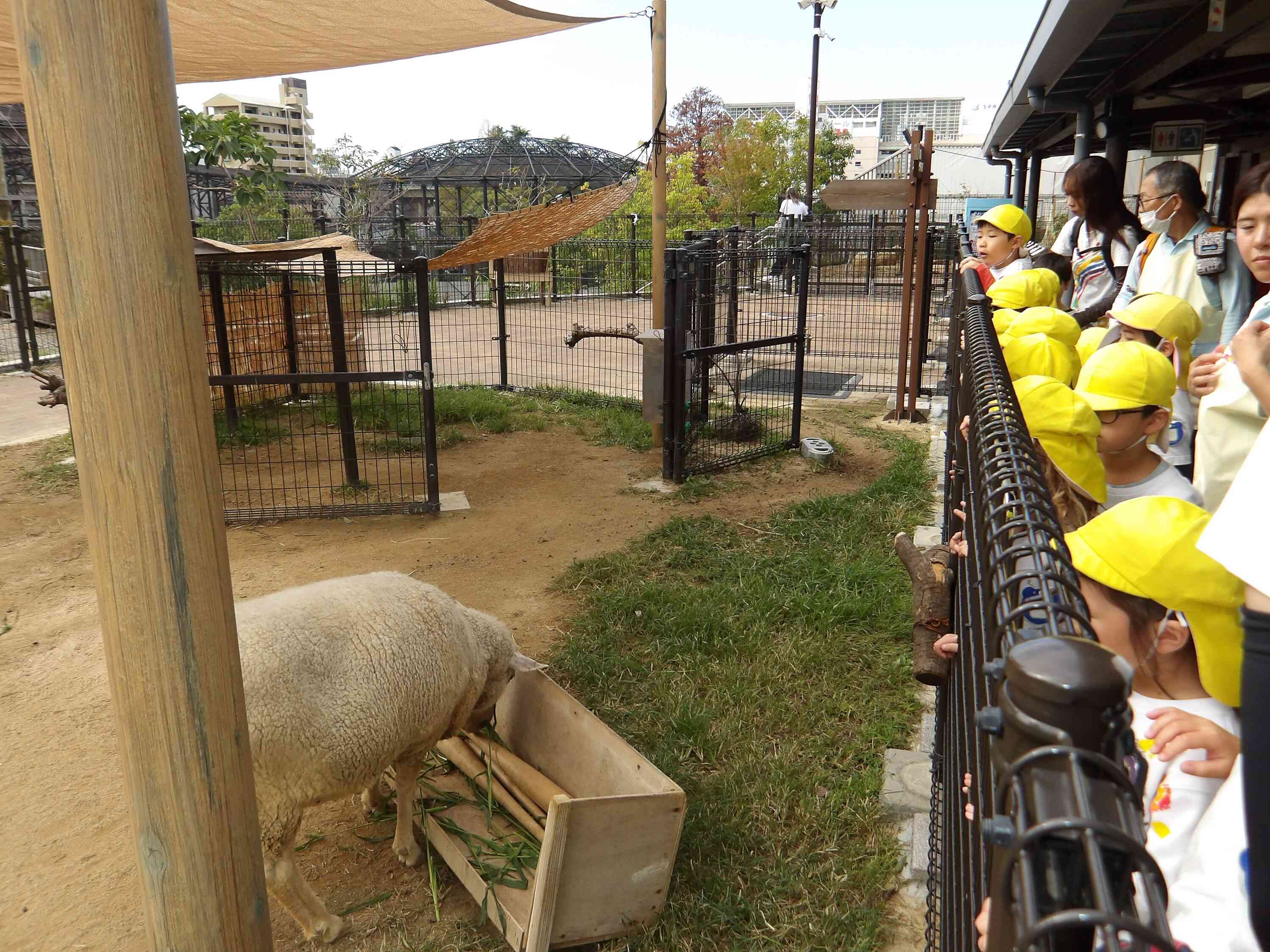 たくさん食べてくれて嬉しいね!