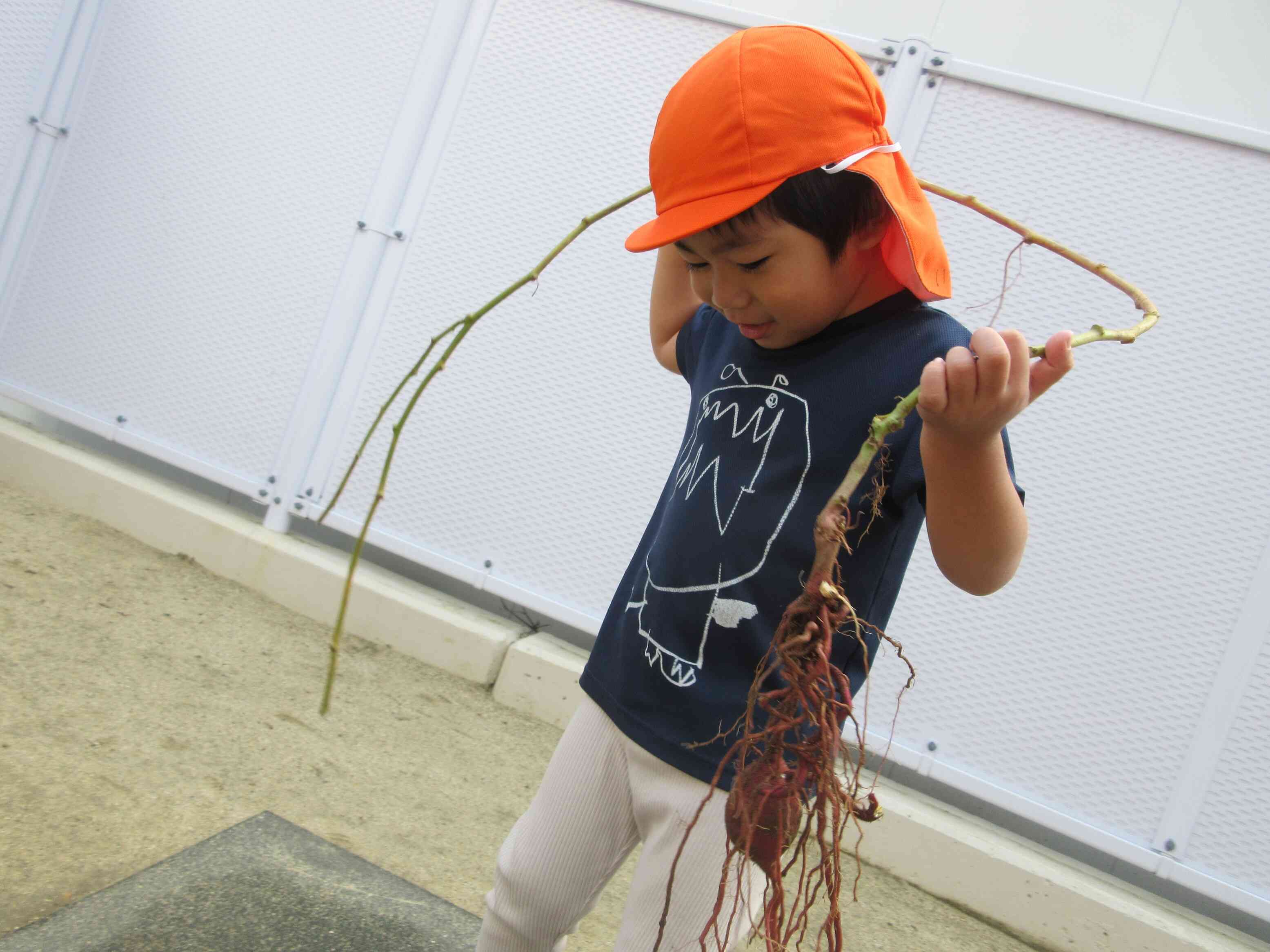 ツルでも遊びました。楽しいね♪