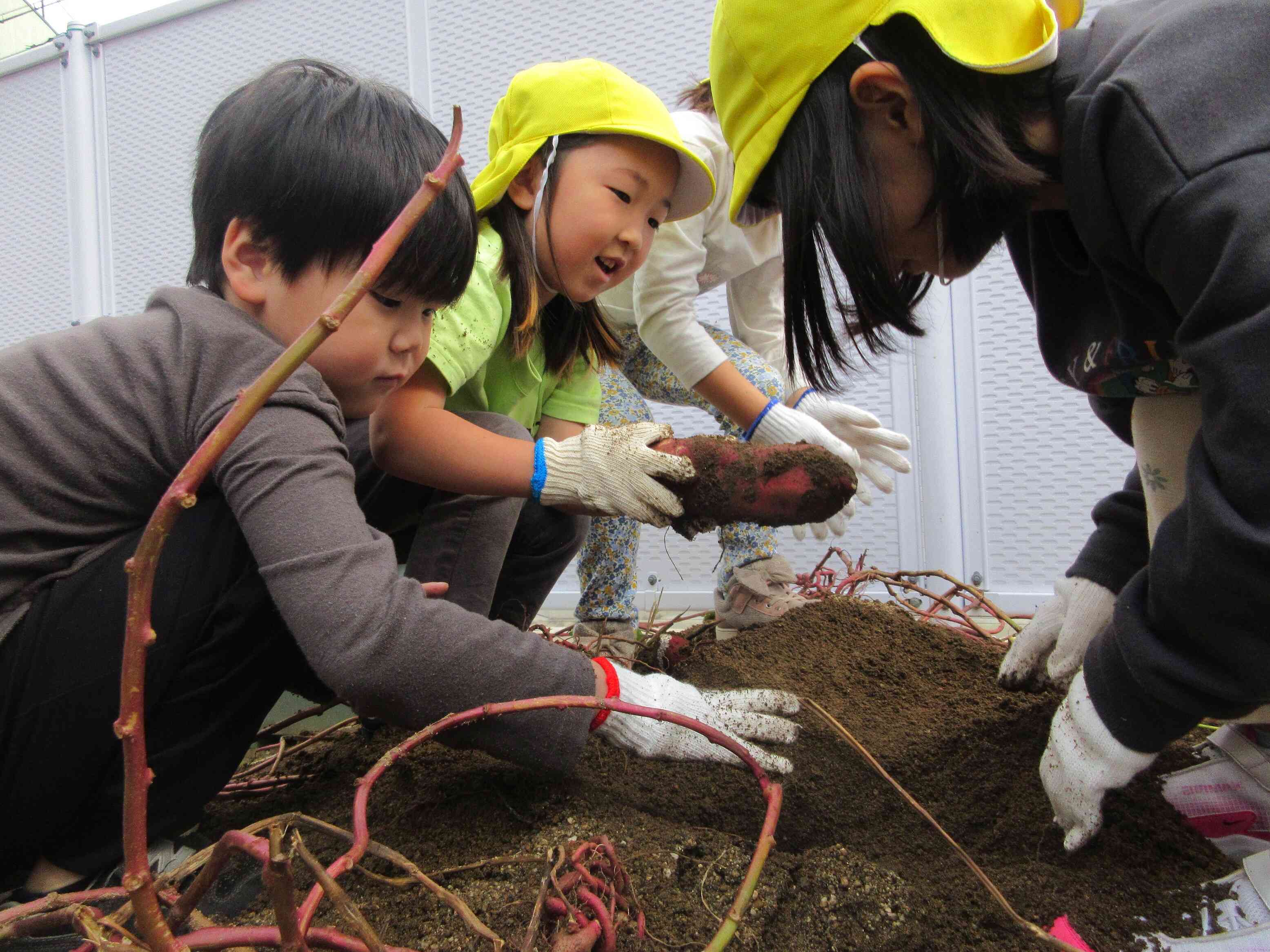 まだまだ掘ります！