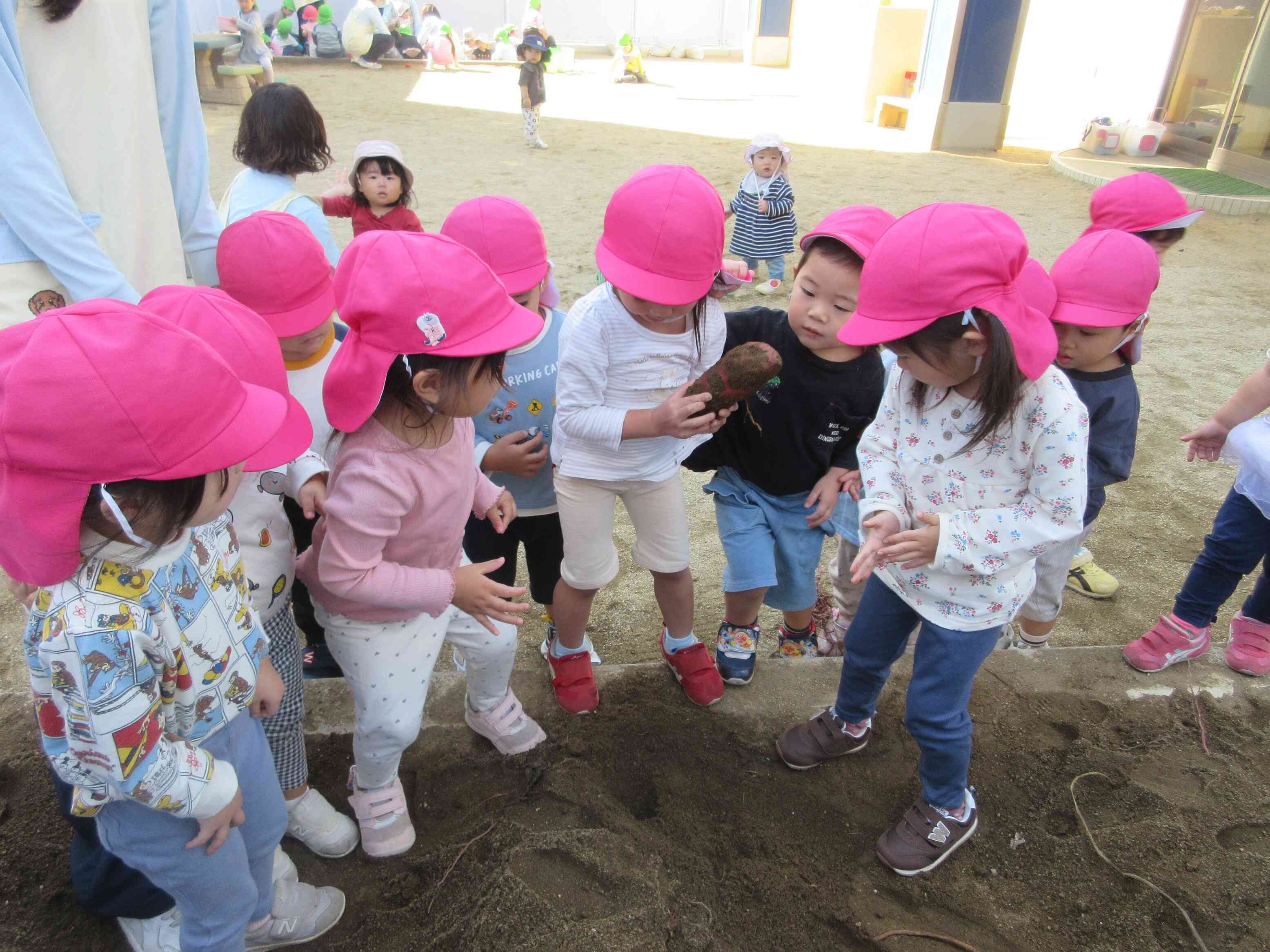 さつまいもいっぱいとれたね