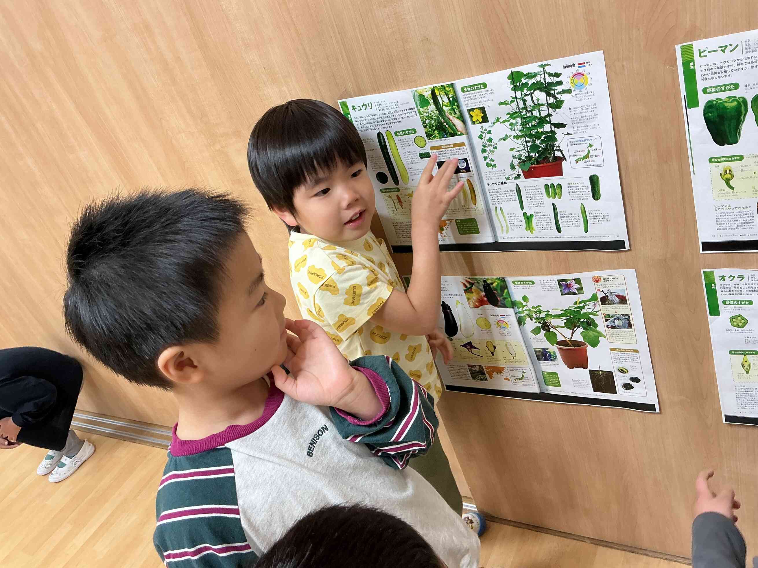 実際に図鑑を見てみよう！