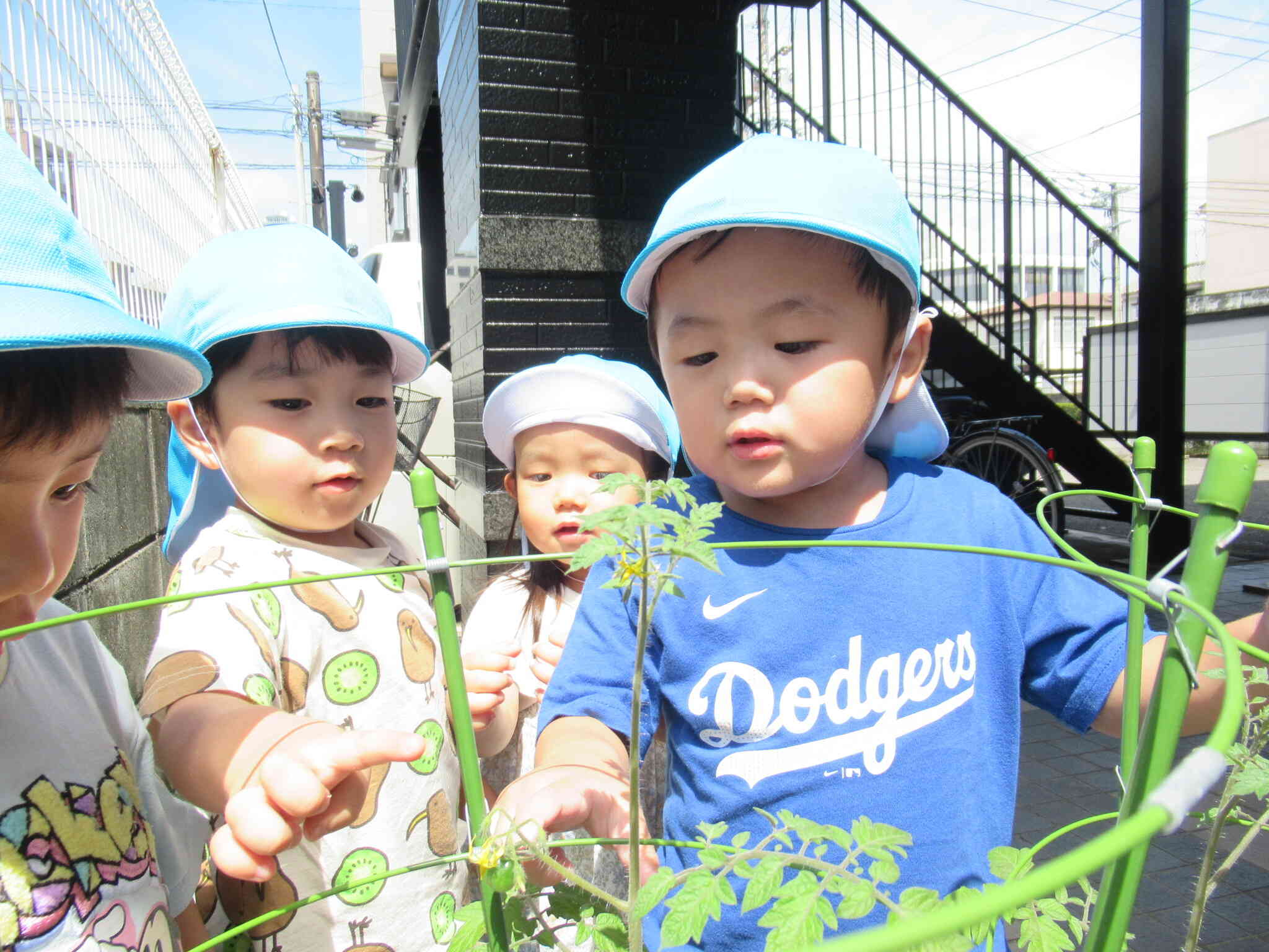 大きくなるの楽しみだね☆