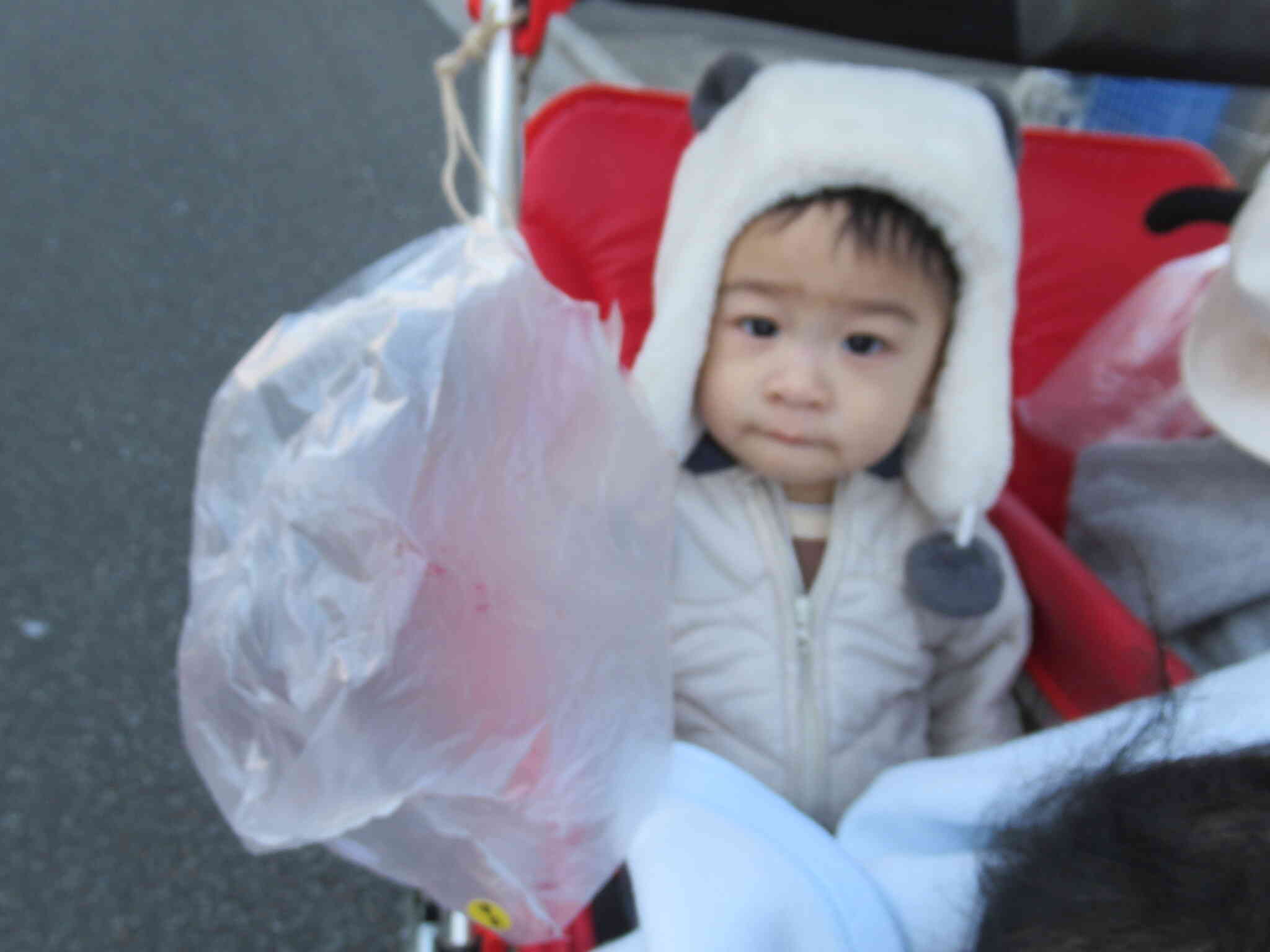 一緒に凧あげに参加したんだよ。