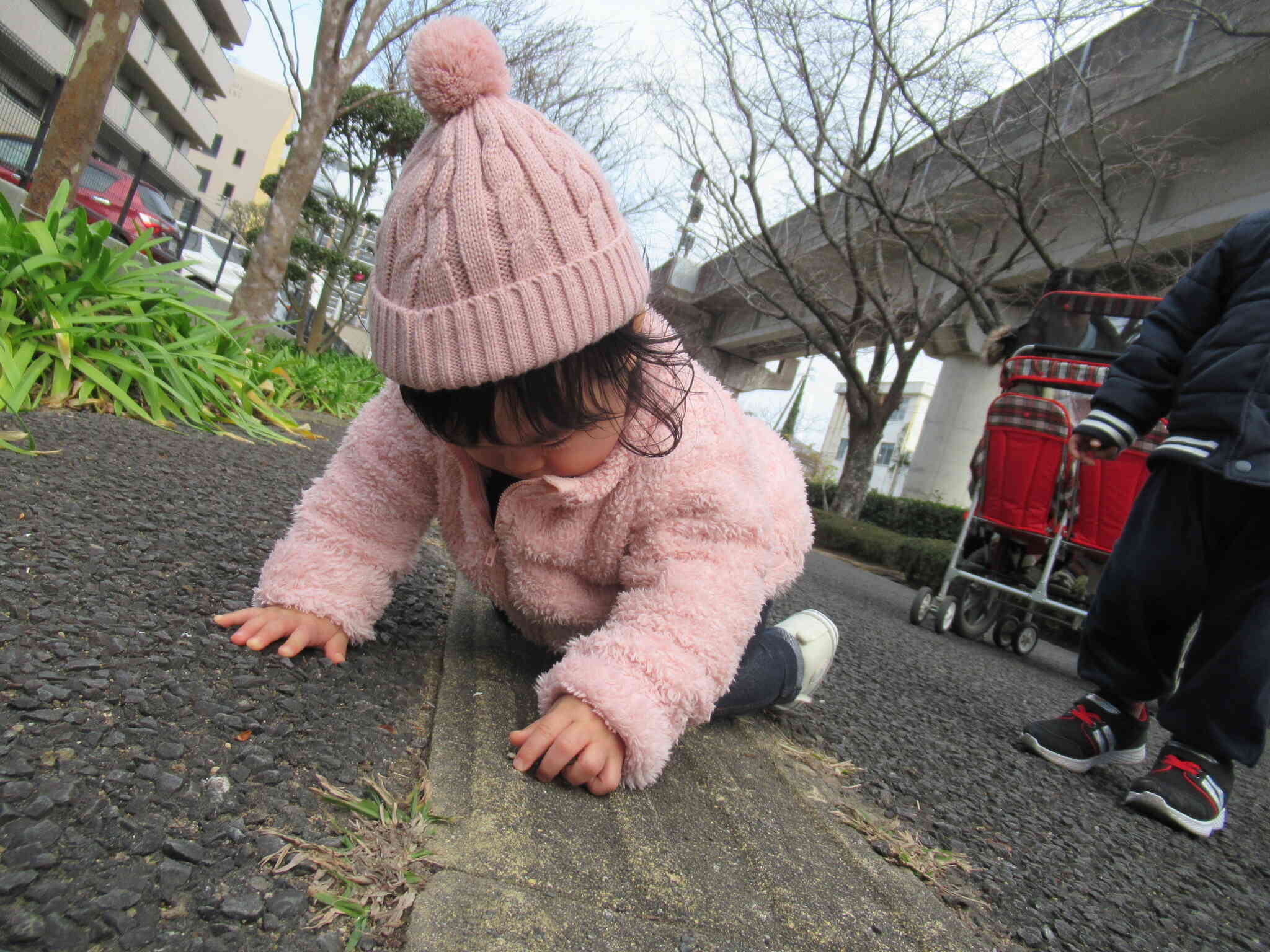 お外ではいろんな発見が・・・