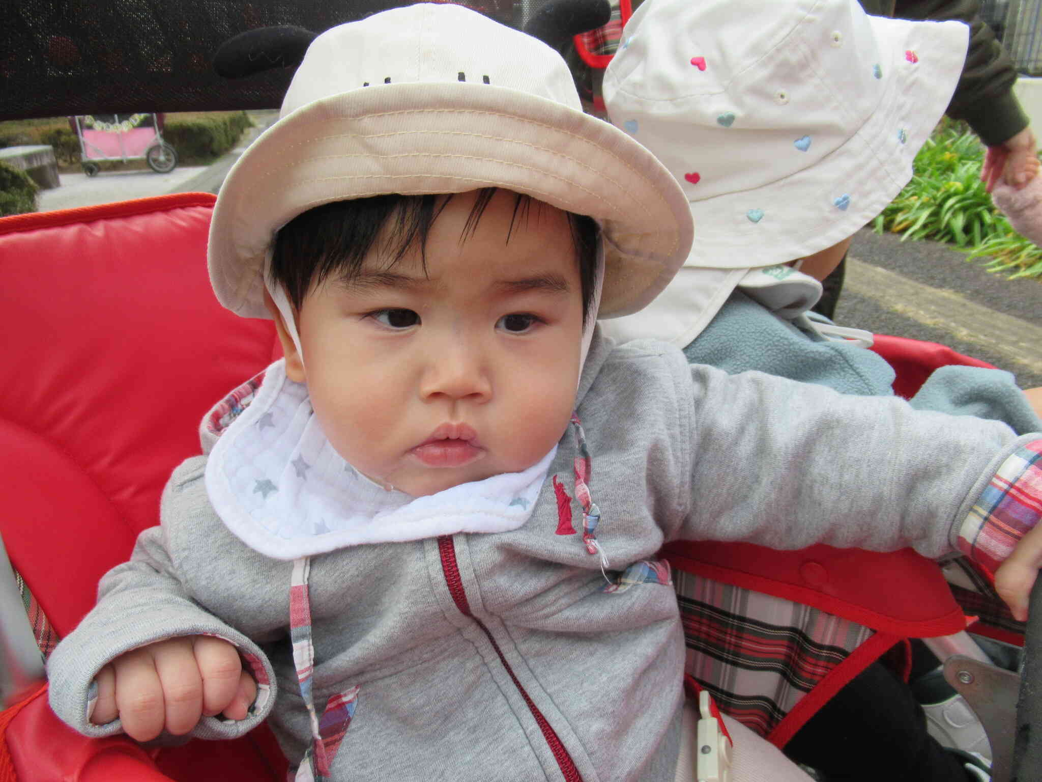 じっくり観察　お散歩って楽しいよね♪